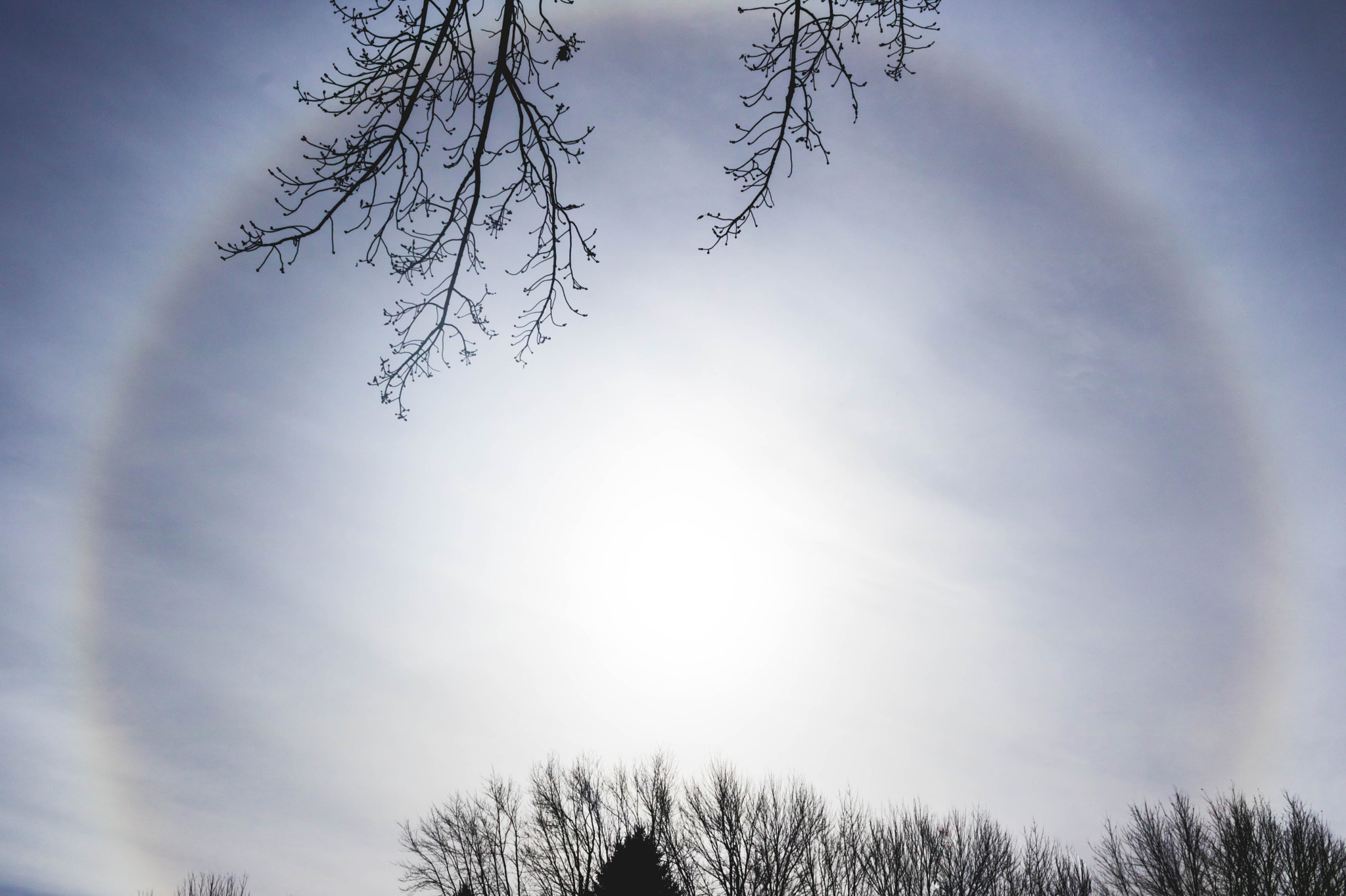Canon EOS 760D (EOS Rebel T6s / EOS 8000D) sample photo. Color of sun photography