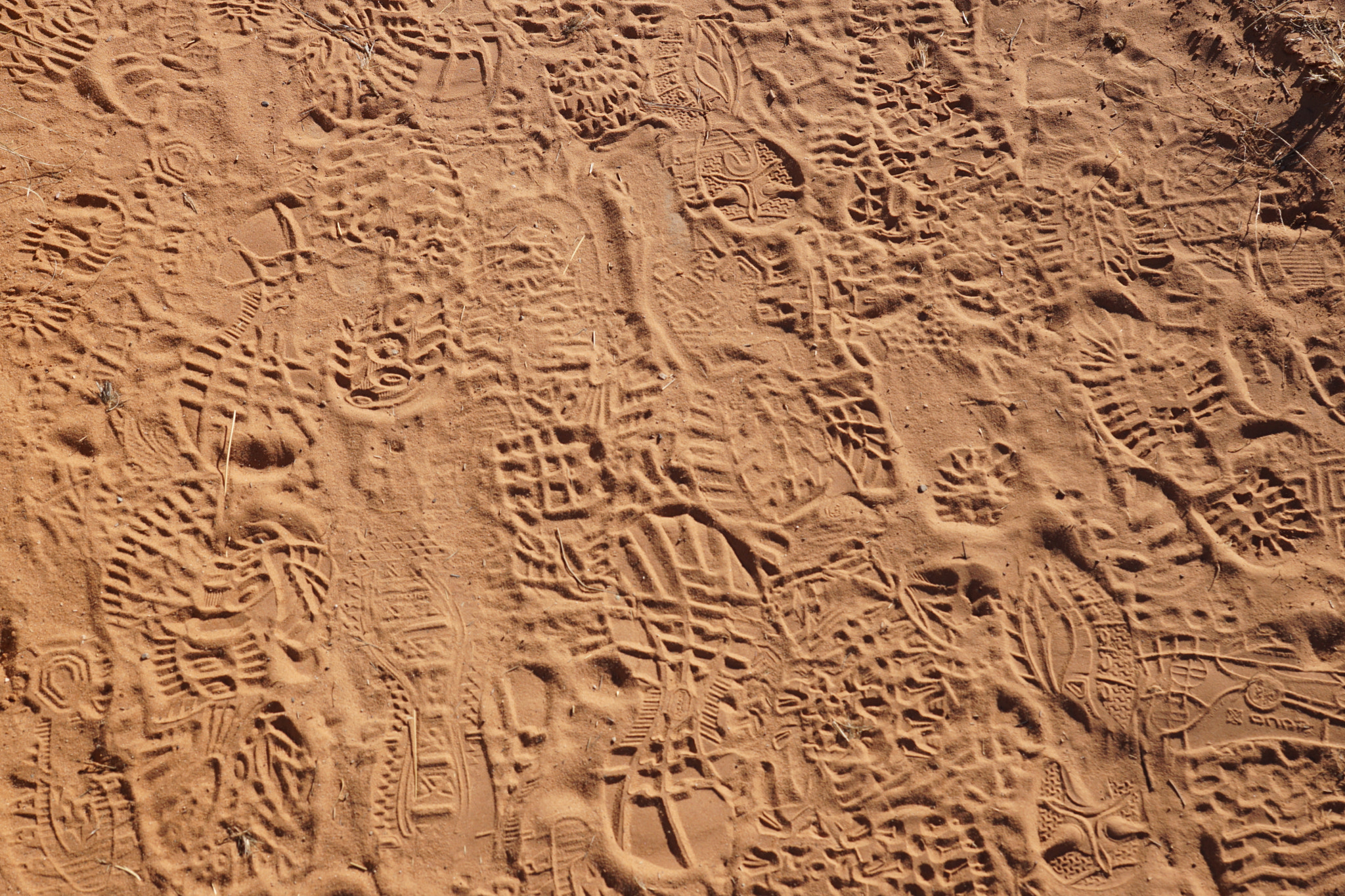 Sony ILCA-77M2 sample photo. Nevada,utah,arizona photography