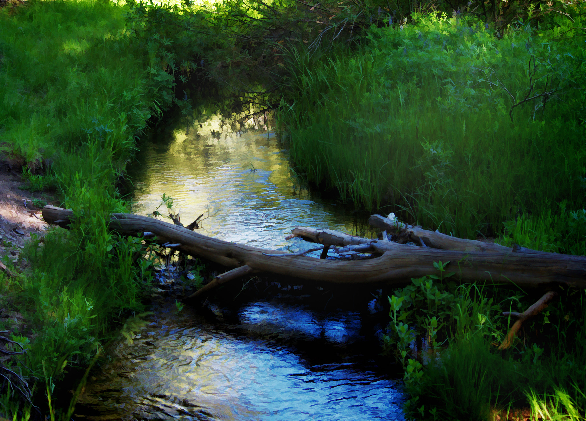 smc PENTAX-DA L 55-300mm F4-5.8 ED sample photo. Horse meadow creek photography