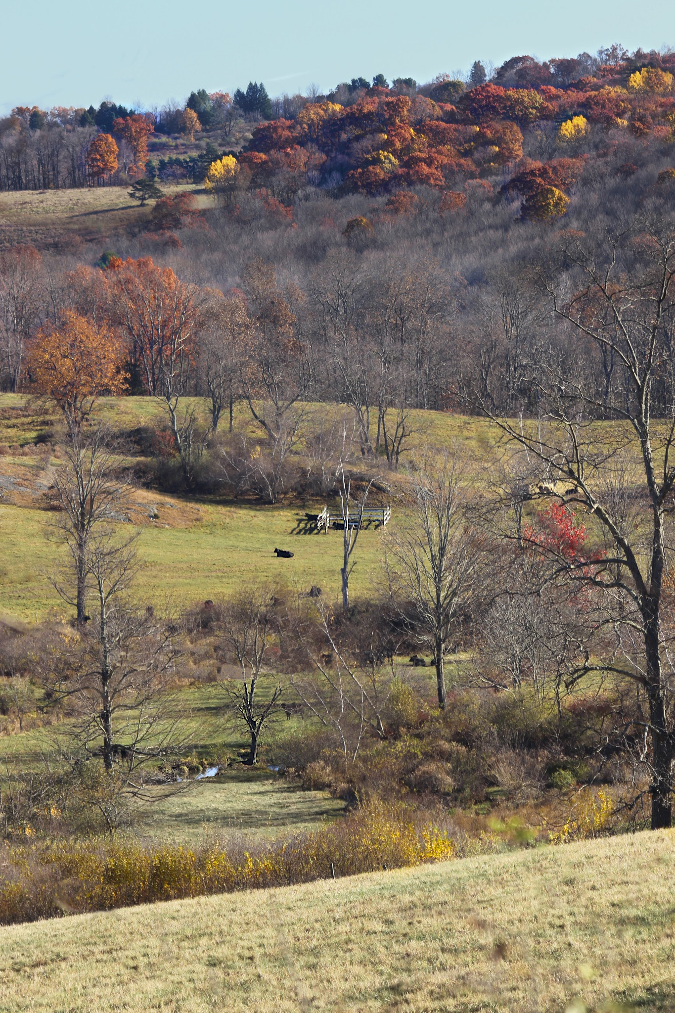 Canon EF 70-300mm F4-5.6 IS USM sample photo. Dutchess county photography