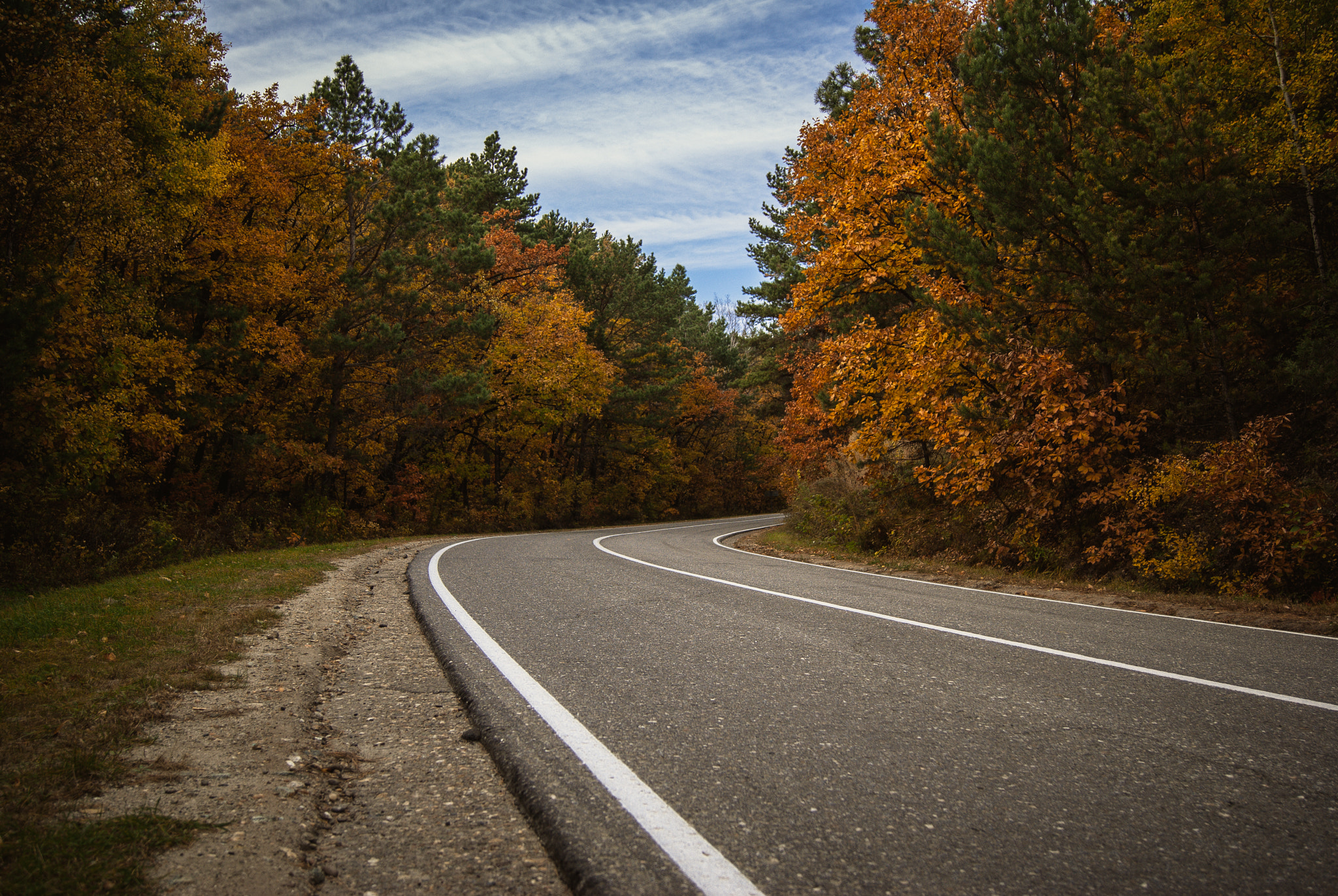 Sony Alpha DSLR-A230 + Sony DT 18-55mm F3.5-5.6 SAM sample photo. Autumn in blagoveschensk photography