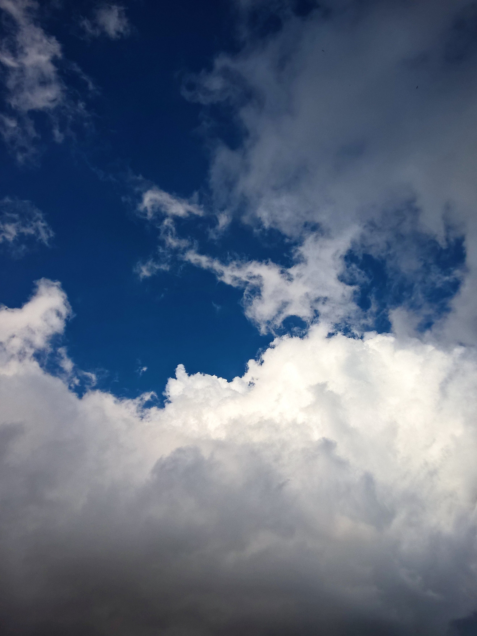 Nokia Lumia 830 sample photo. In tthe sky photography