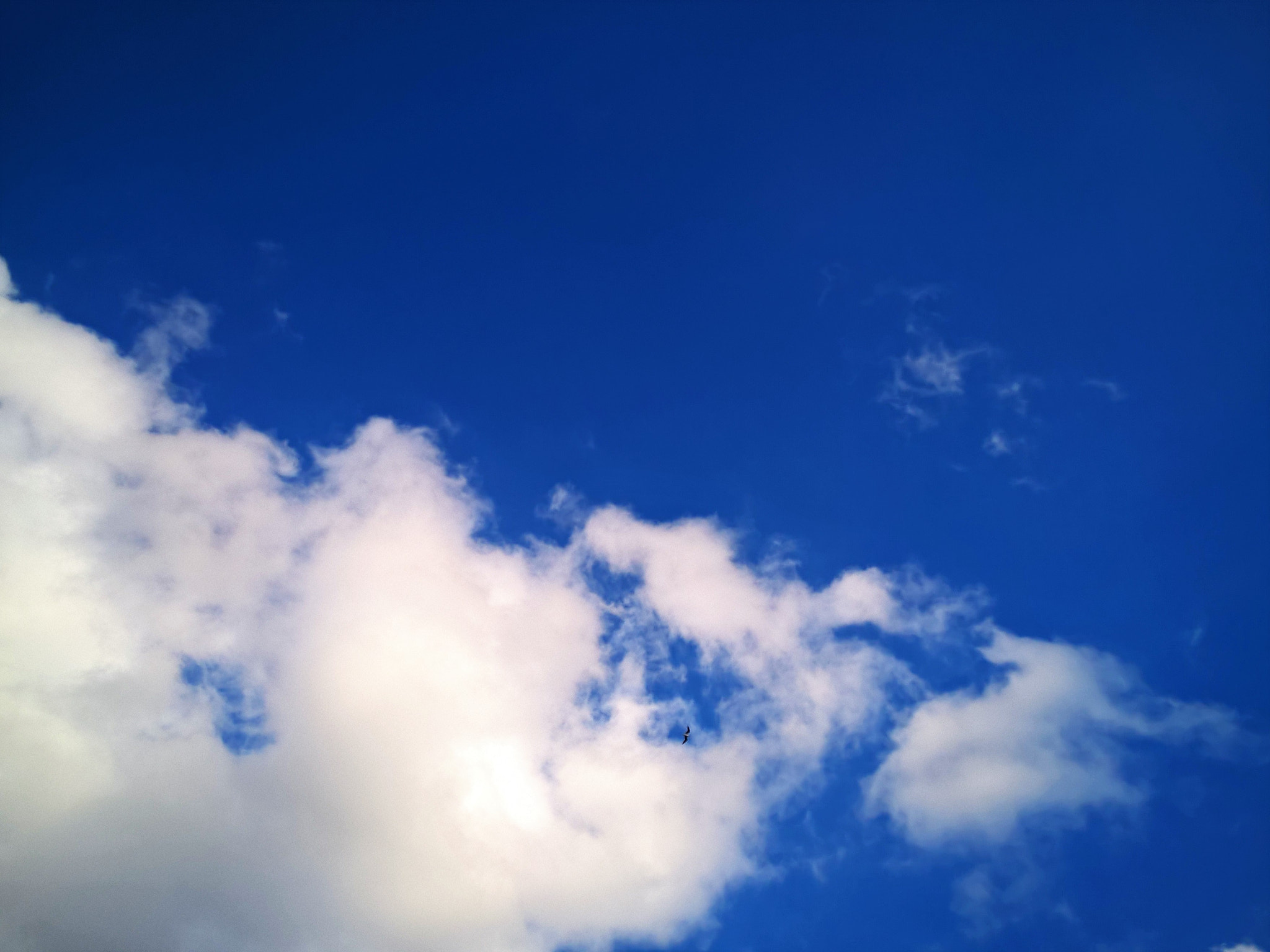 Nokia Lumia 830 sample photo. In tthe sky photography