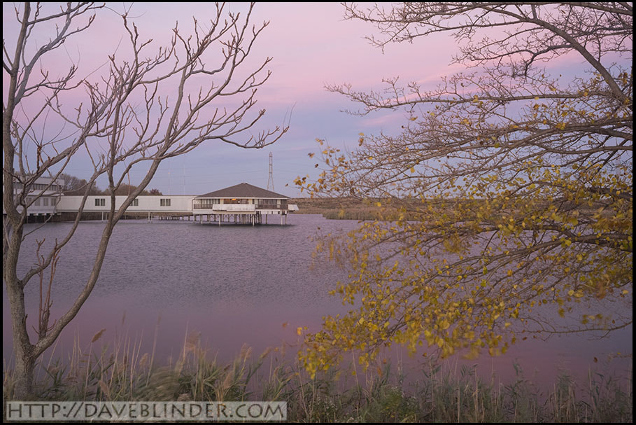 Sony a7R + Canon EF 40mm F2.8 STM sample photo. Autumn evening at dekorte park photography