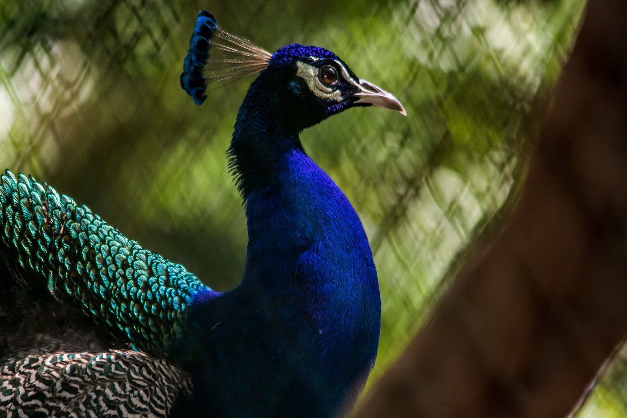Canon 150-500mm sample photo. Nature at its best photography