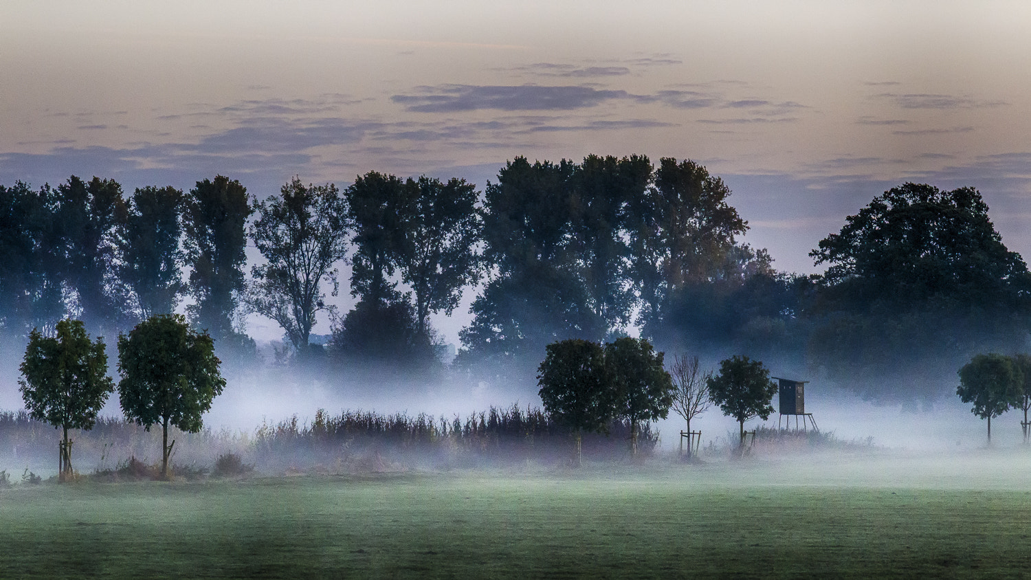 Canon EOS-1D Mark IV sample photo. Fog photography