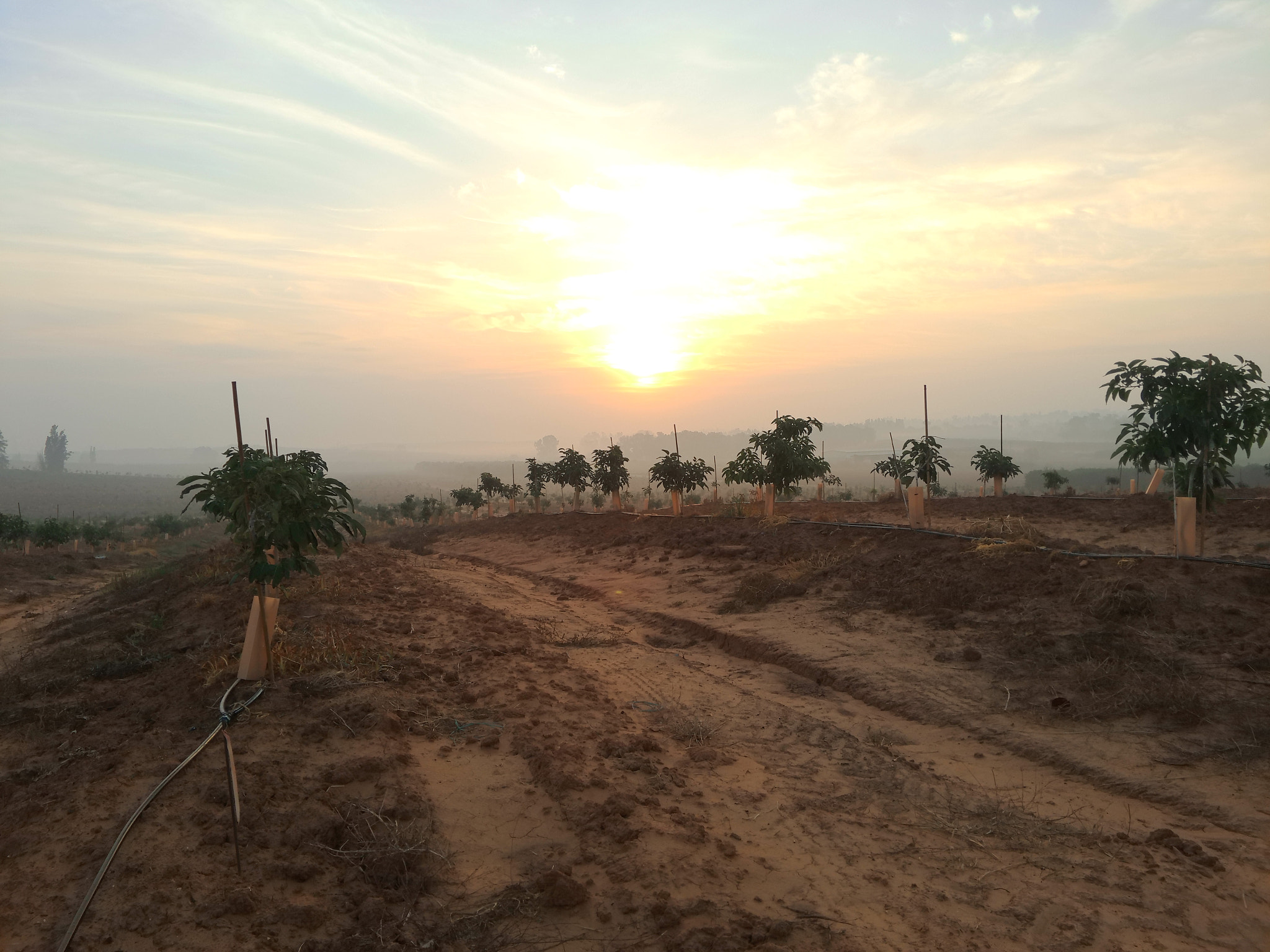 Meizu MX4 Pro sample photo. Israel  photography