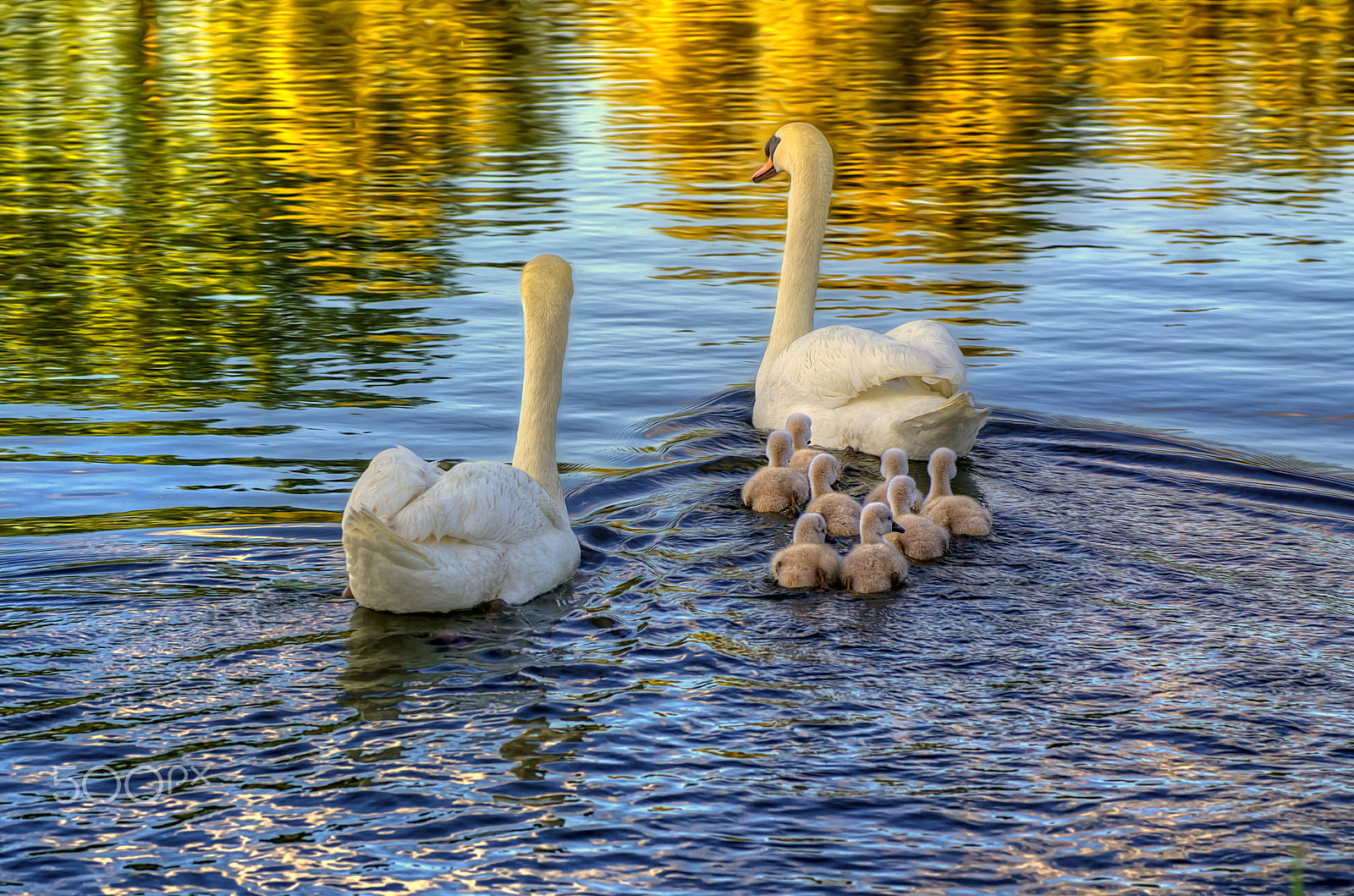 Pentax K-5 sample photo. Happy family photography