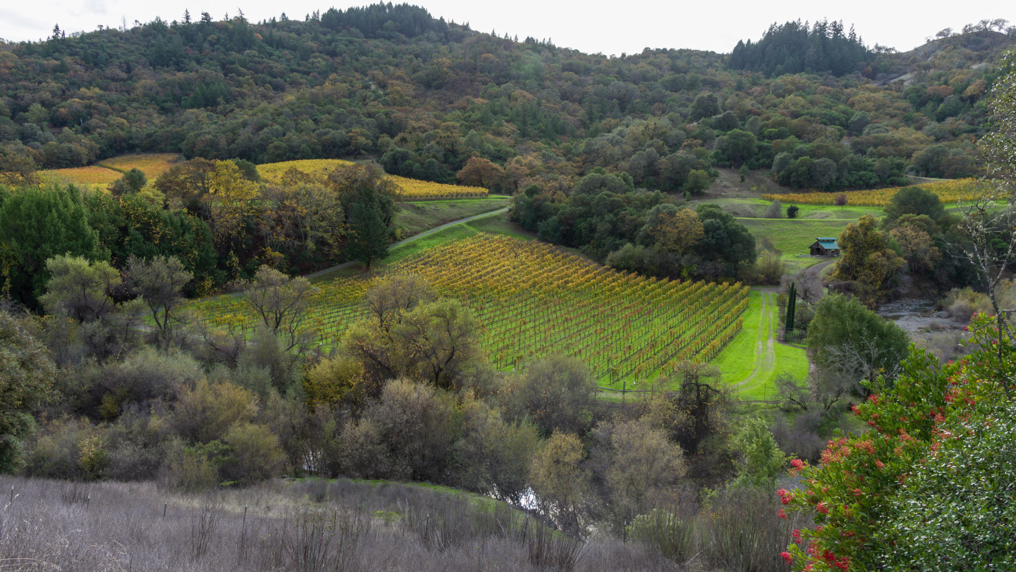 Pentax K-5 IIs sample photo. Masut vineyard & winery photography