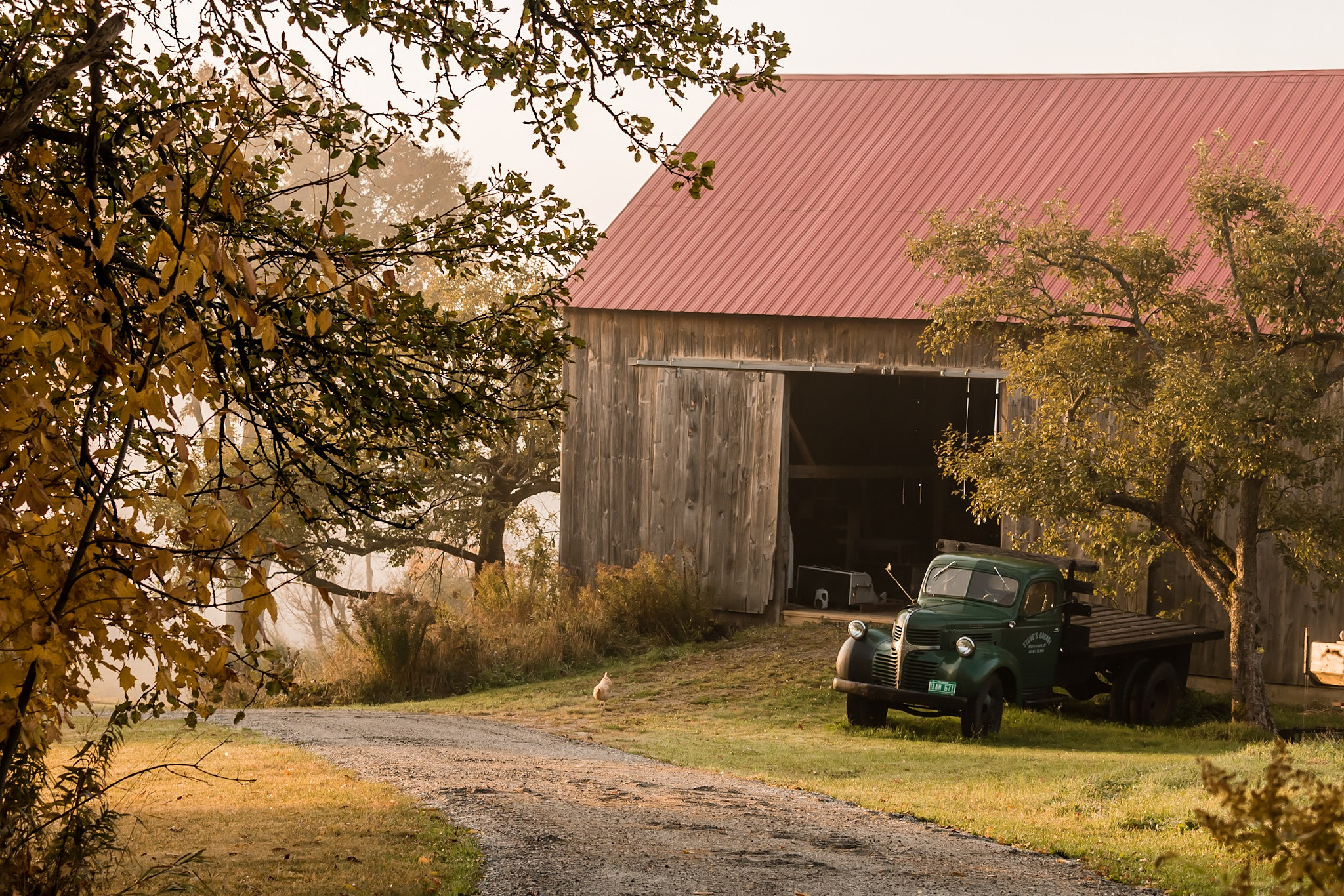 Canon EF-S 55-250mm F4-5.6 IS STM sample photo. Countryside photography