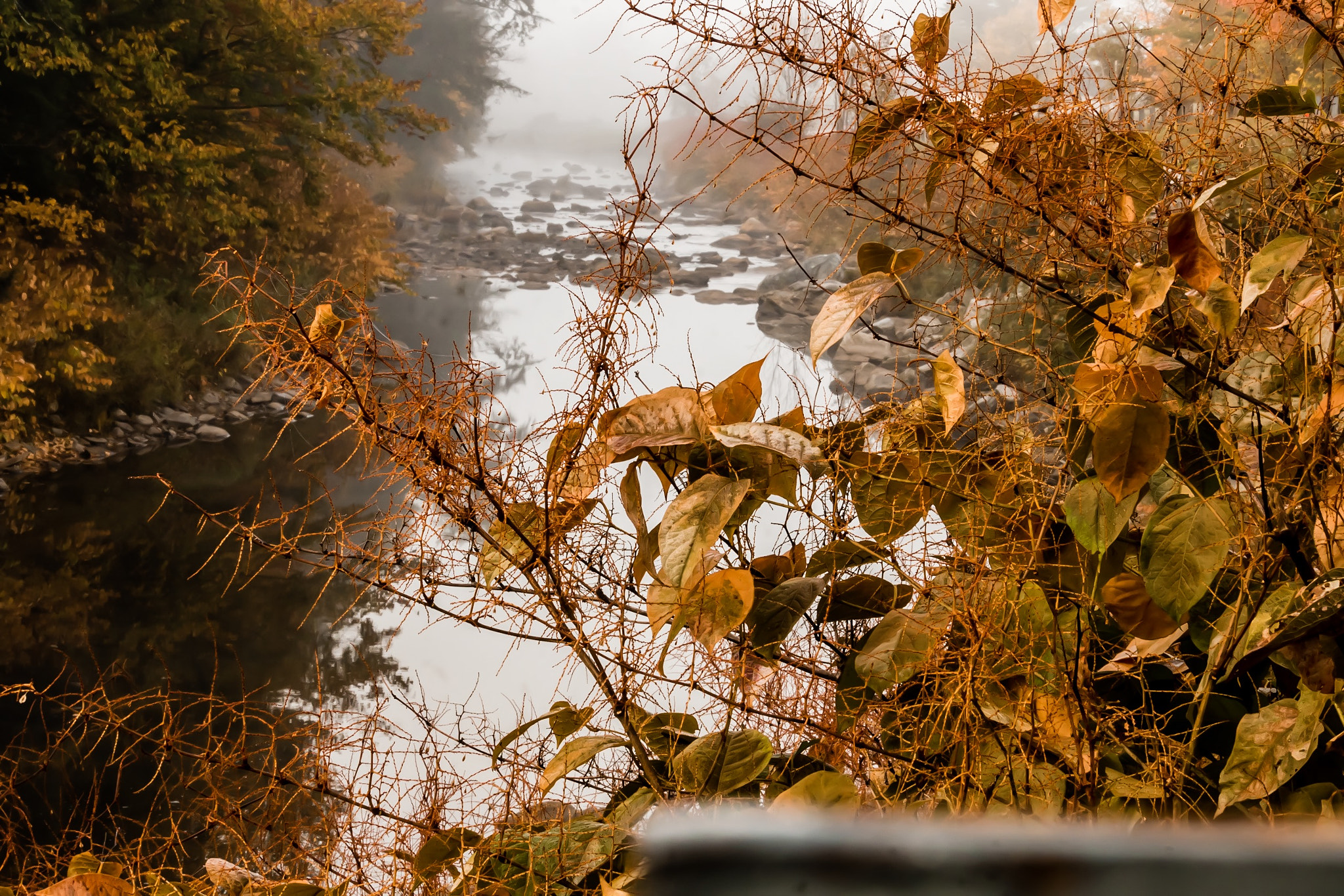 Canon EF-S 55-250mm F4-5.6 IS STM sample photo. Into the misty morning.. photography