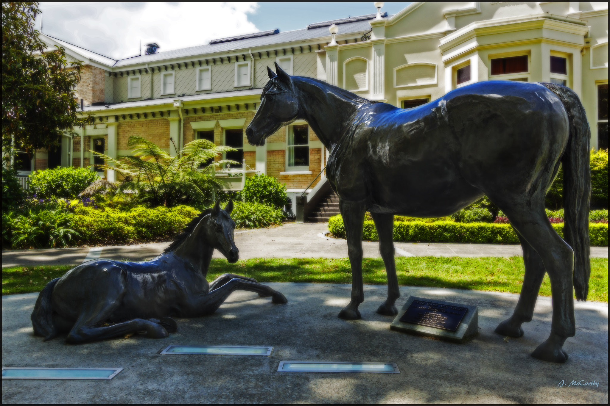 Canon EF-S 10-22mm F3.5-4.5 USM sample photo. Mare and foal in new zealand. photography