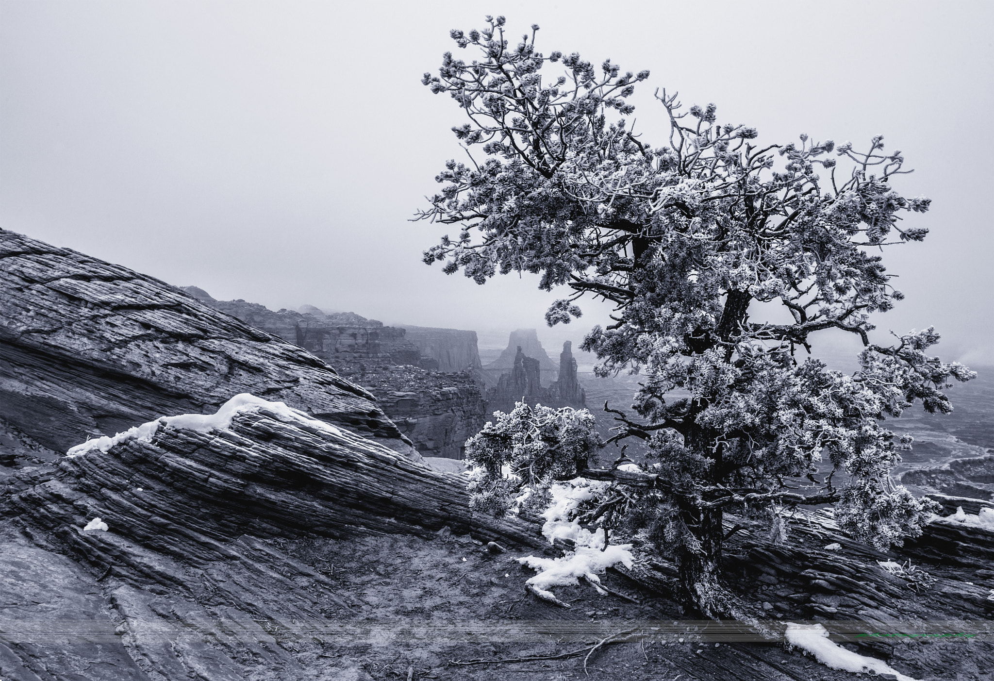 Canon EOS-1D X sample photo. Frozen overlook photography