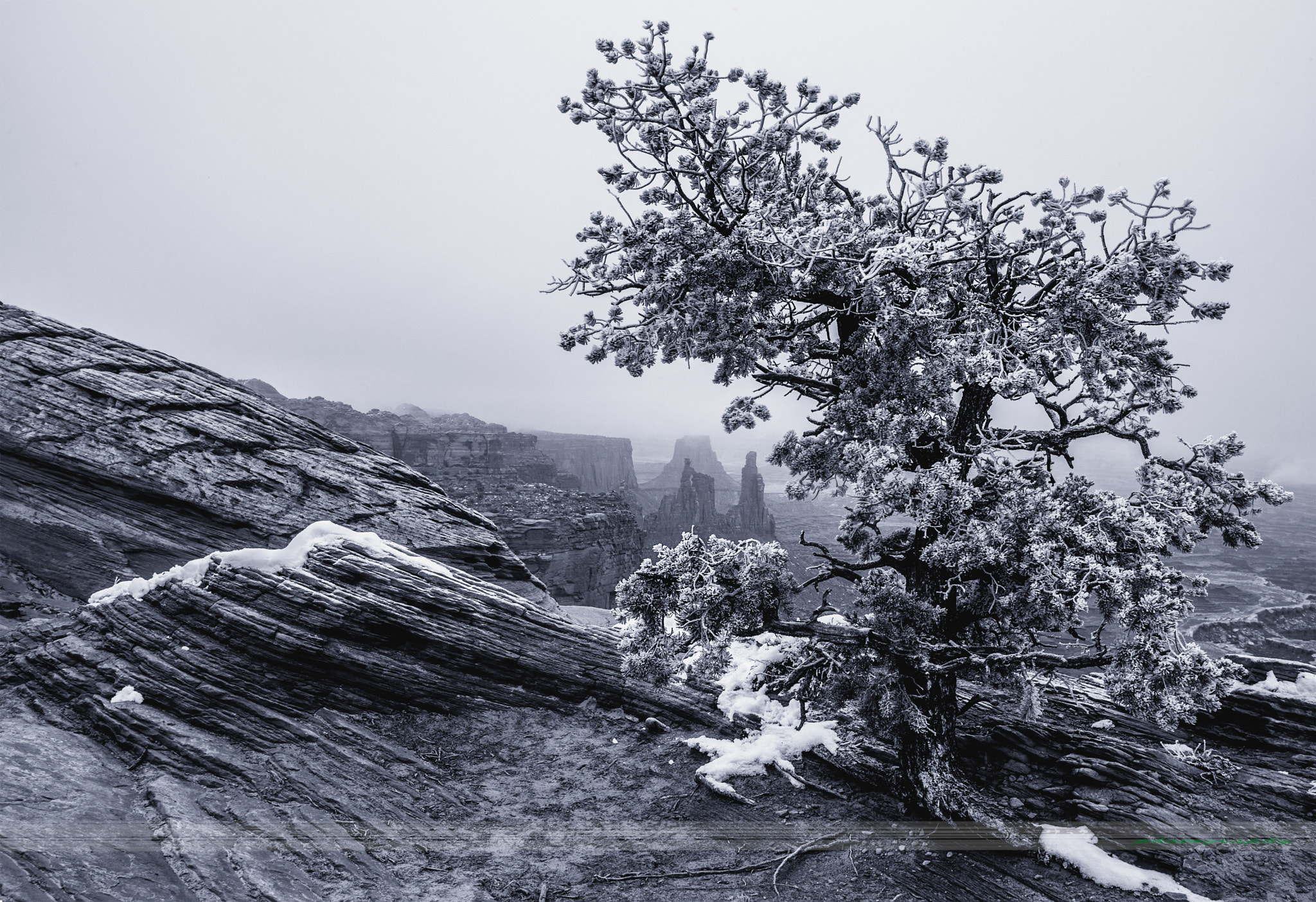 Canon EOS-1D X + Canon EF 17-40mm F4L USM sample photo. Frozen overlook photography