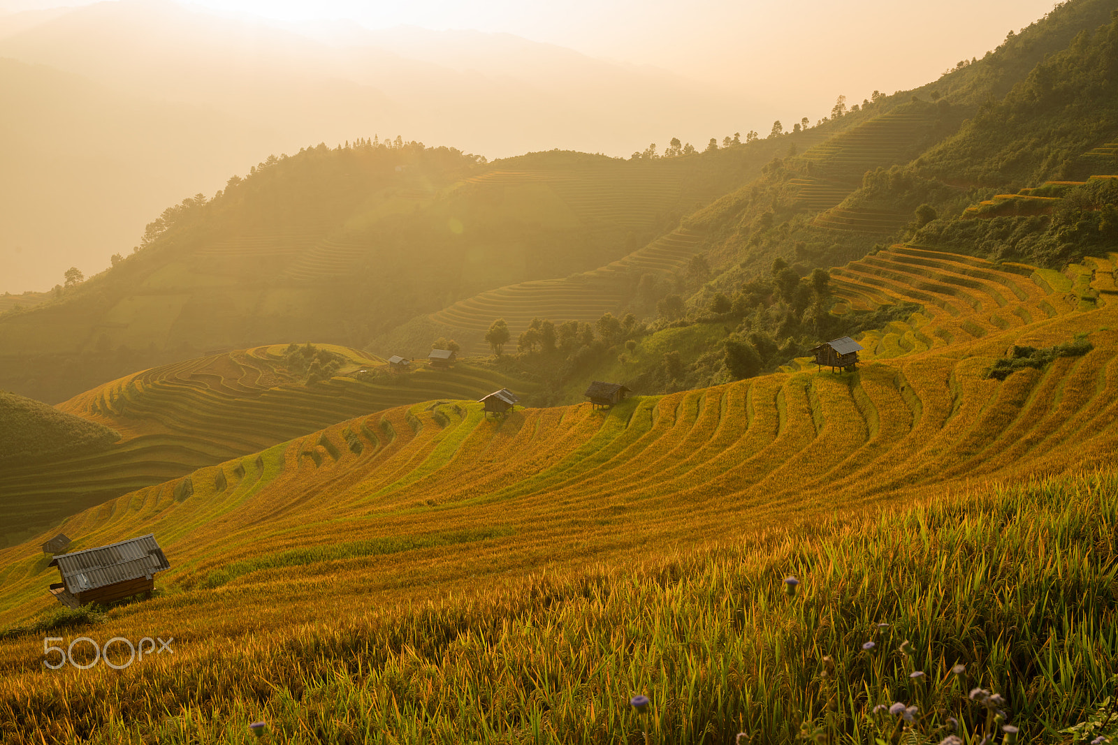 Sony a7R II + Sigma 35mm F1.4 DG HSM Art sample photo. Vietnam morning photography