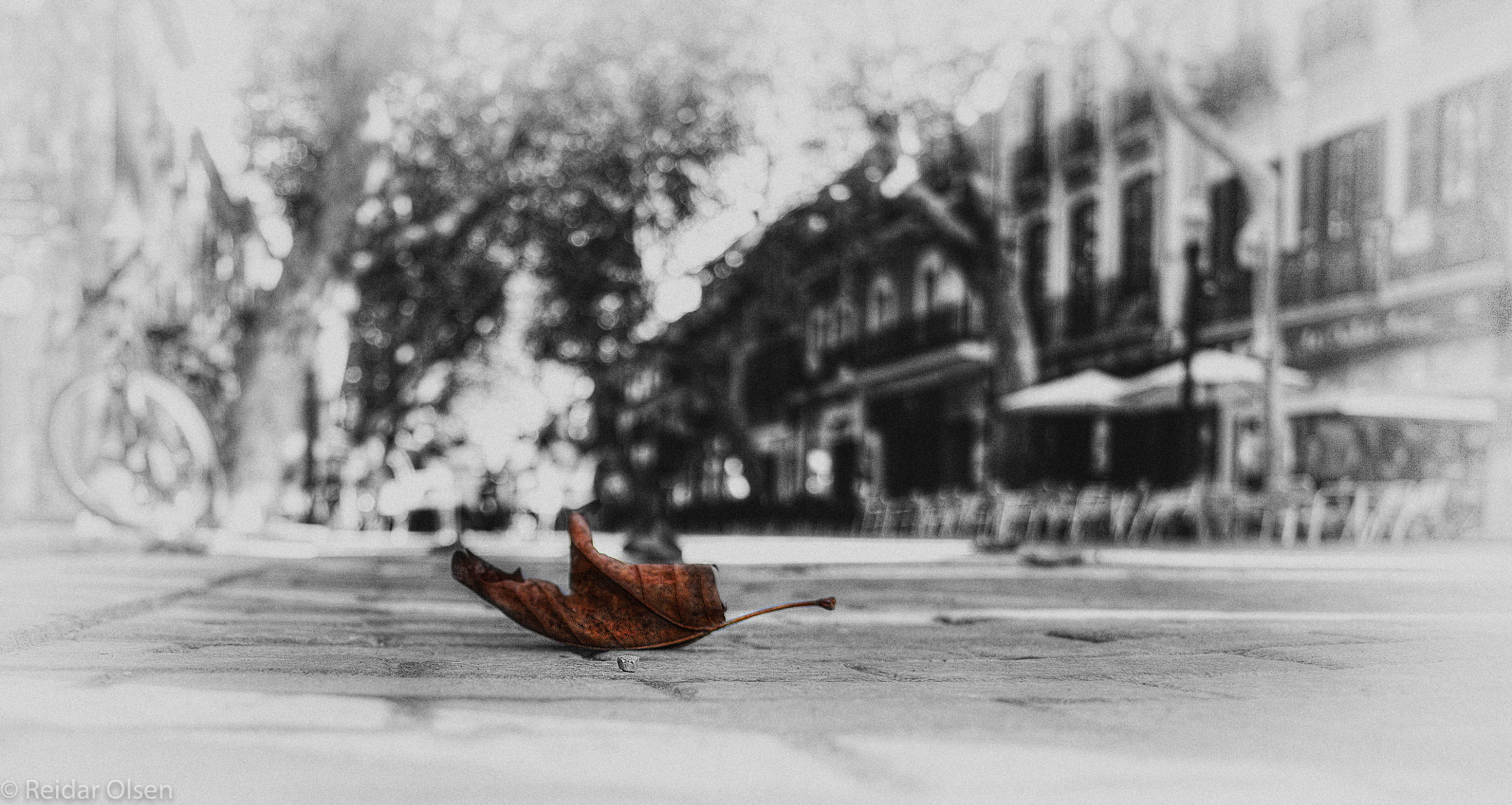 Leaf...