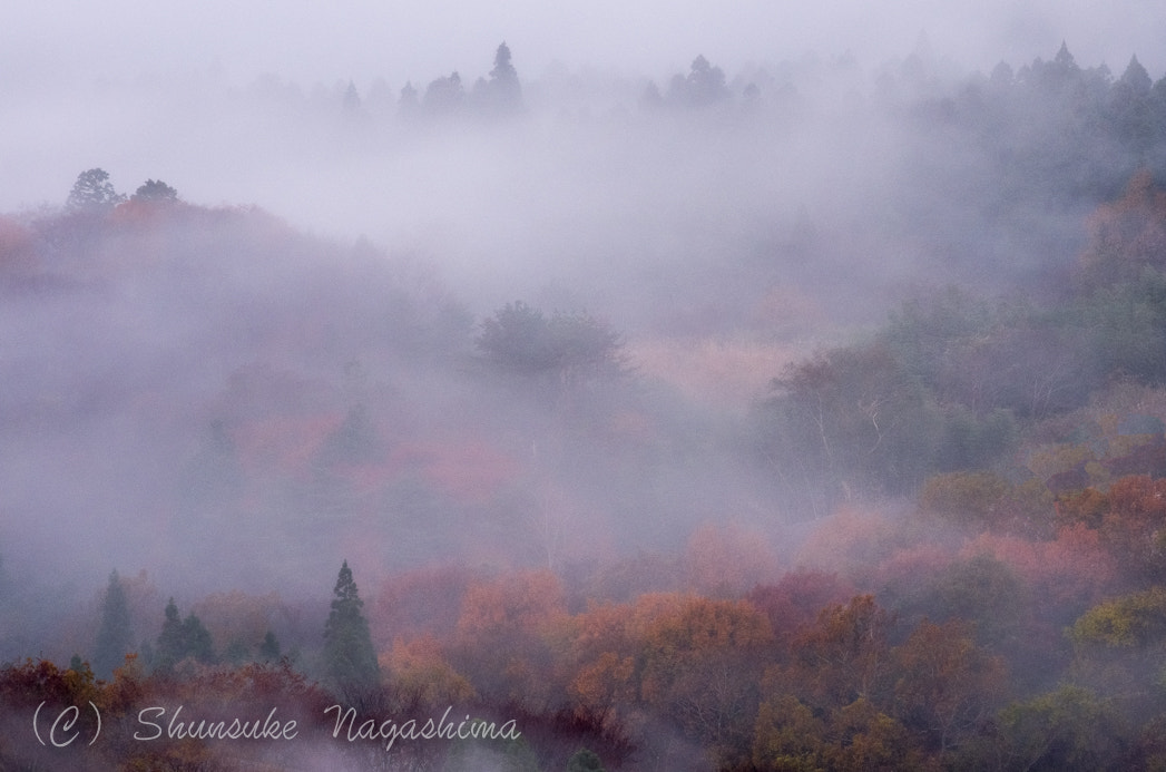 Pentax smc DA 55-300mm F4.0-5.8 ED sample photo. Yufuin morning photography