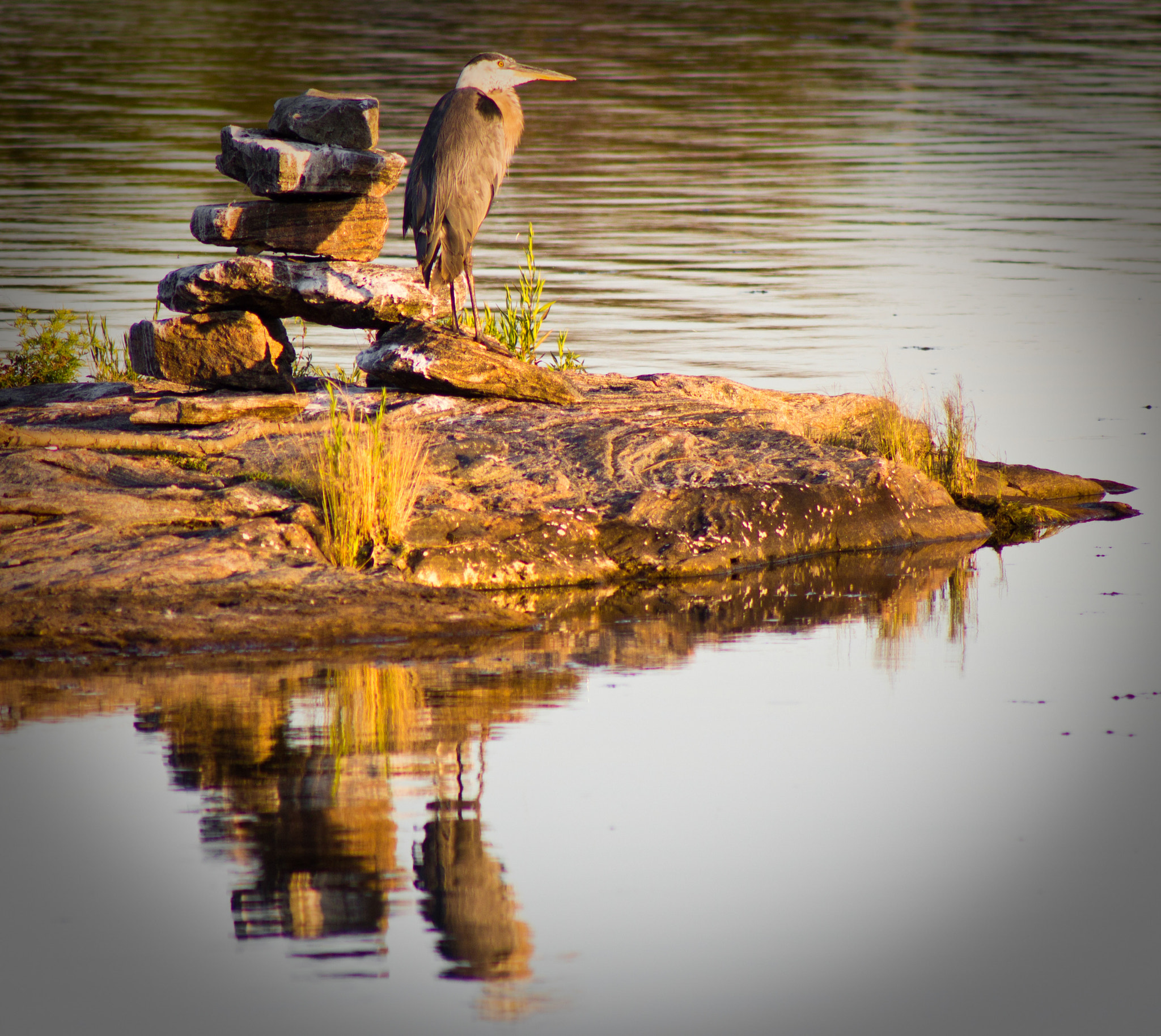 Canon EF 75-300mm f/4-5.6 USM sample photo. On the rocks photography