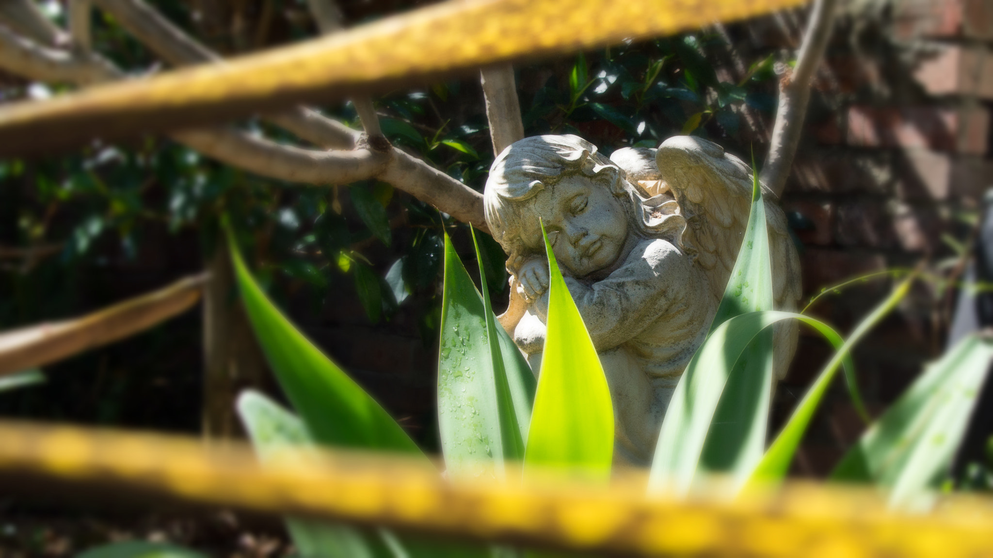 Tamron 18-270mm F3.5-6.3 Di II PZD sample photo. Garden cherub photography