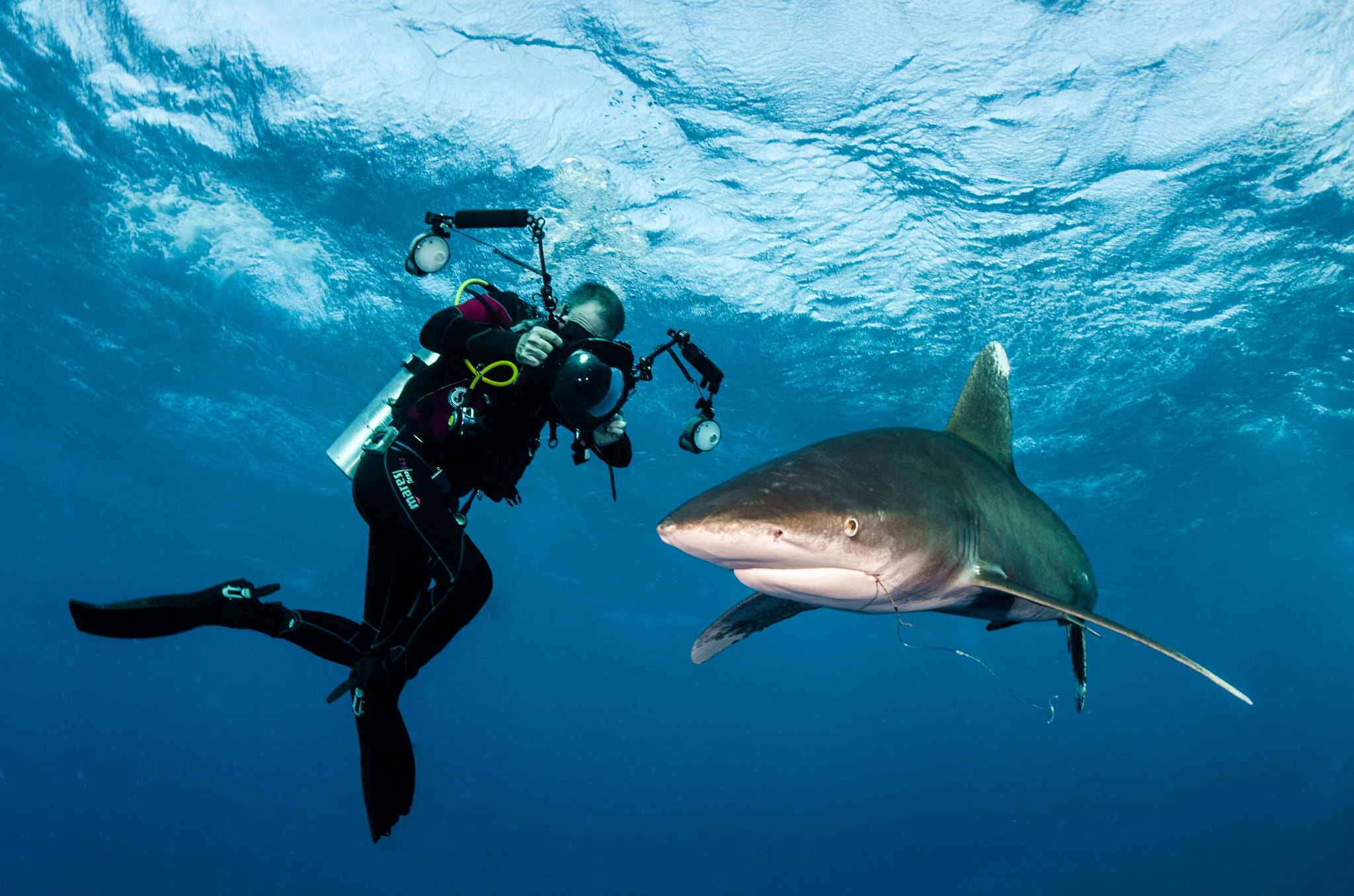 Nikon D700 sample photo. Oceanic white tip and photographer photography