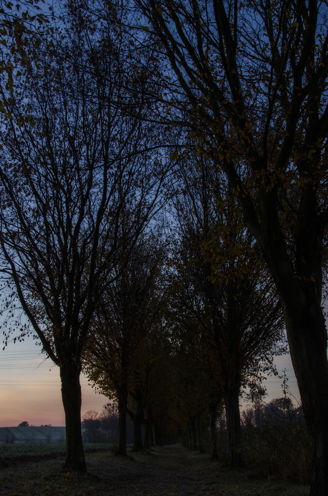 cold morning by dirk derbaum on 500px.com