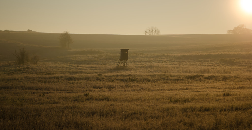 landscape with hawk by dirk derbaum on 500px.com