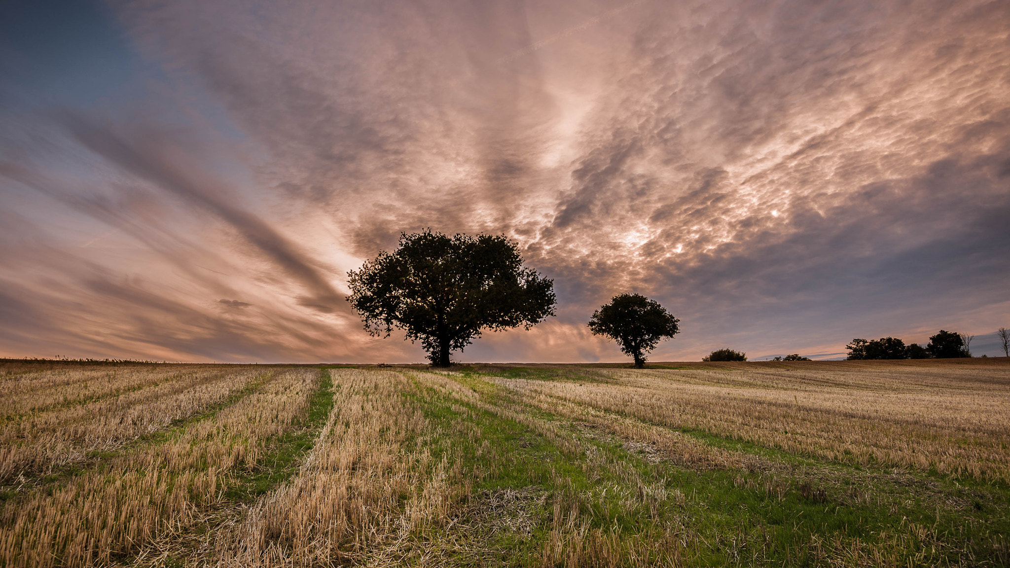Nikon D3X sample photo. Sunset photography