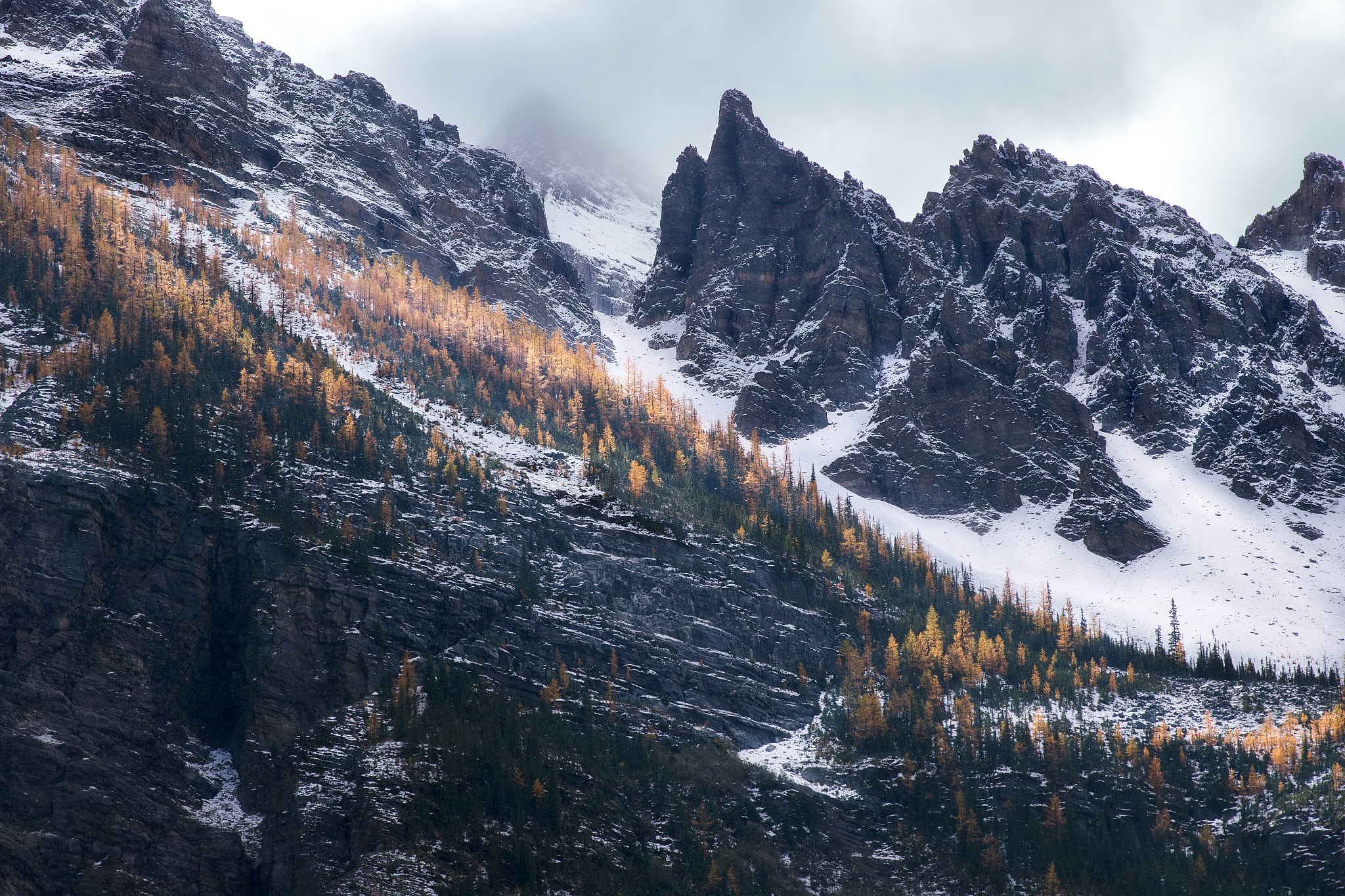 v2?sig=f5826b044eb22468589ebacc852cd3da3df2f15901bdc67514c0c3997624ce8e