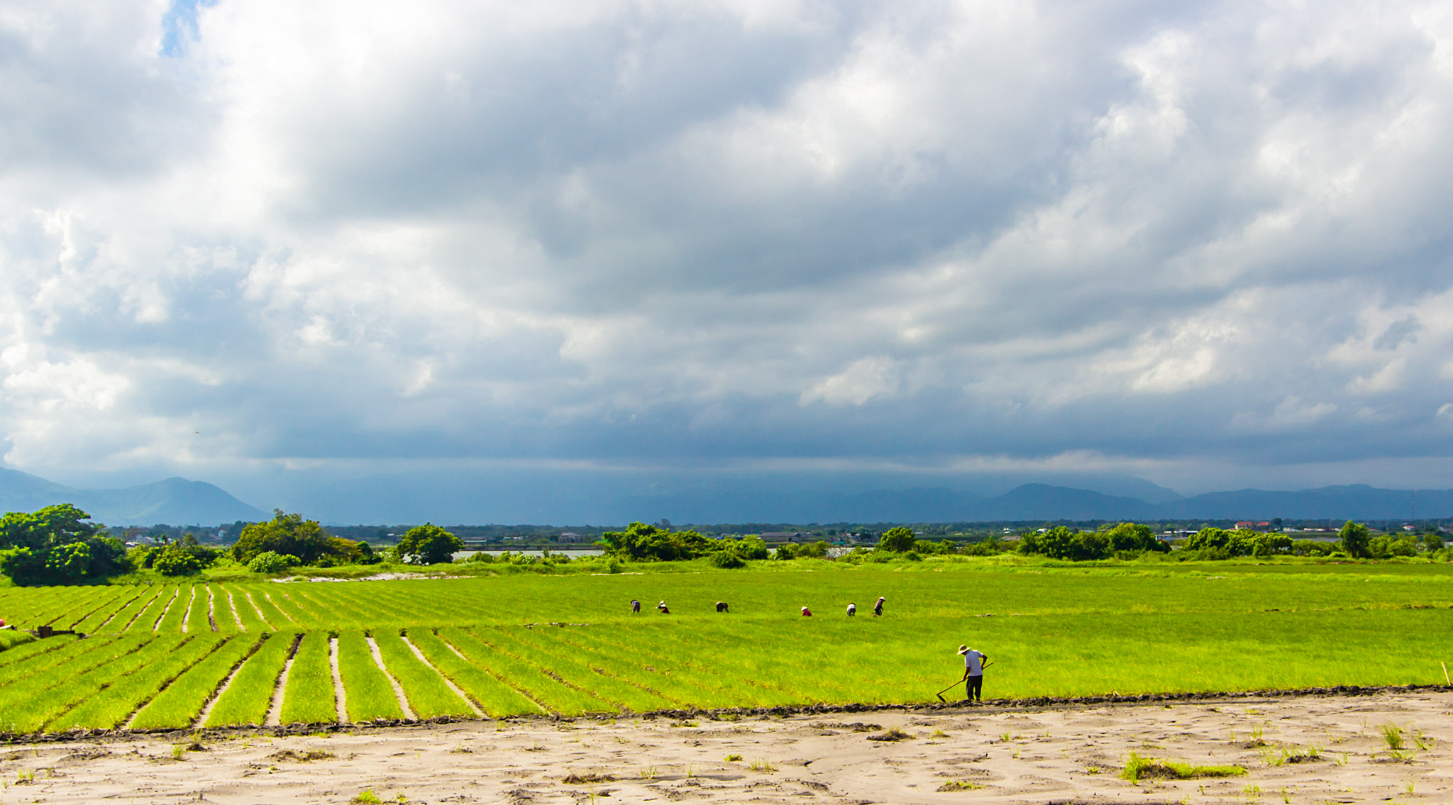 farmers in Cam Ranh Peninsula,VietNam