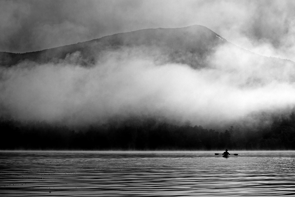 The Fog by Patty Barker on 500px.com
