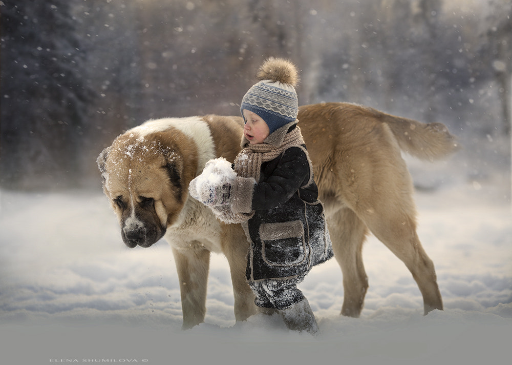 winter day by Elena Shumilova on 500px.com