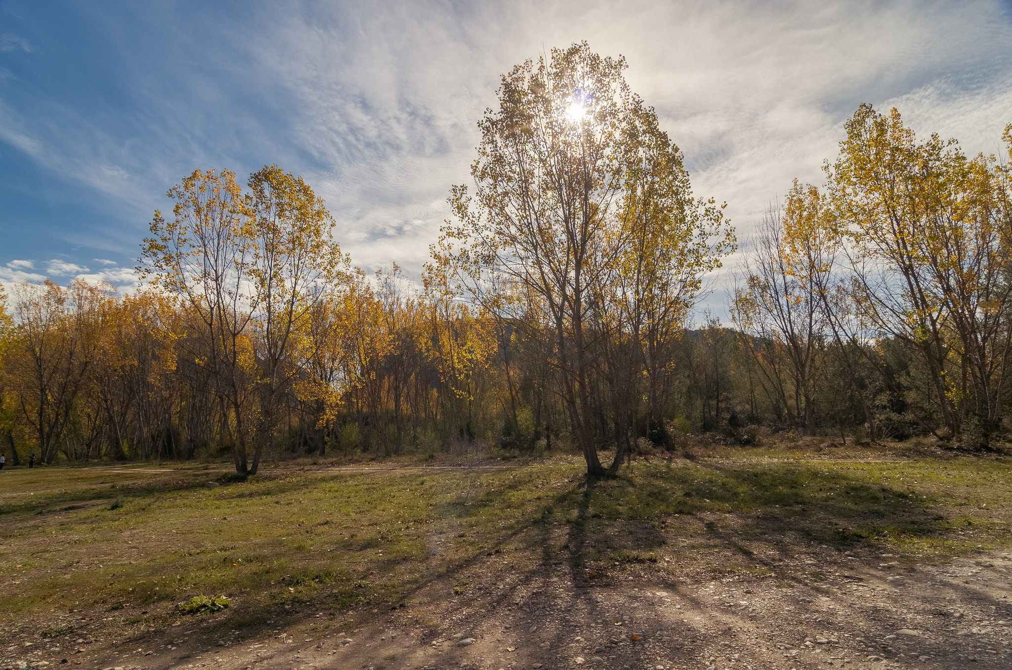 Pentax K-5 IIs + Pentax smc DA 12-24mm F4.0 ED AL (IF) sample photo. Otoño photography