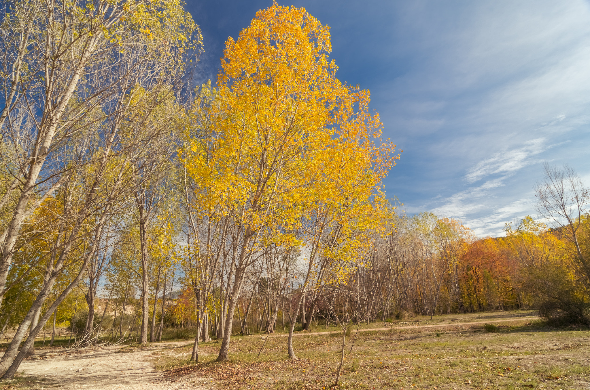 Pentax K-5 IIs sample photo. Camí a la tardor photography