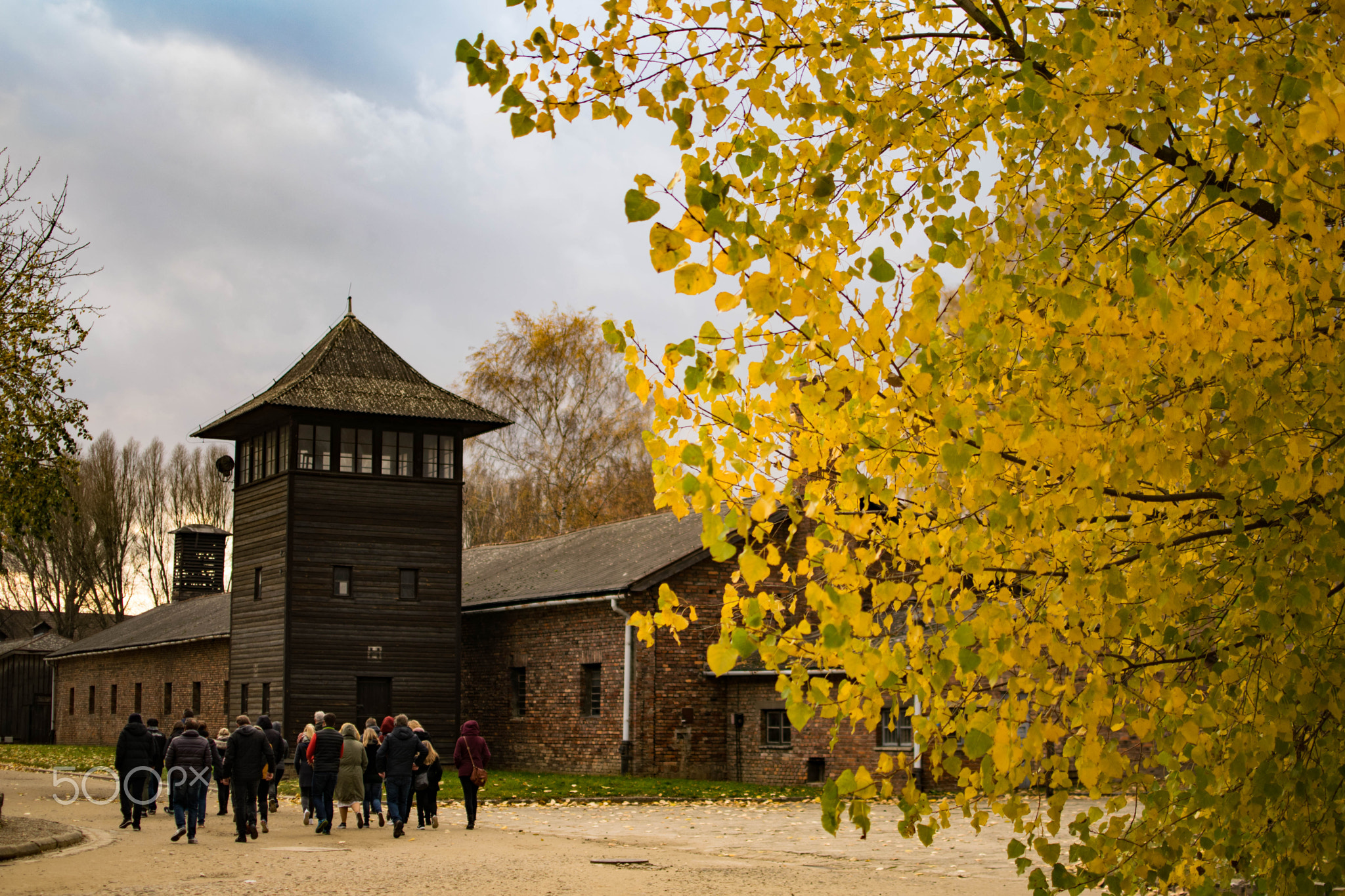 Ironically Tidy and Beautiful