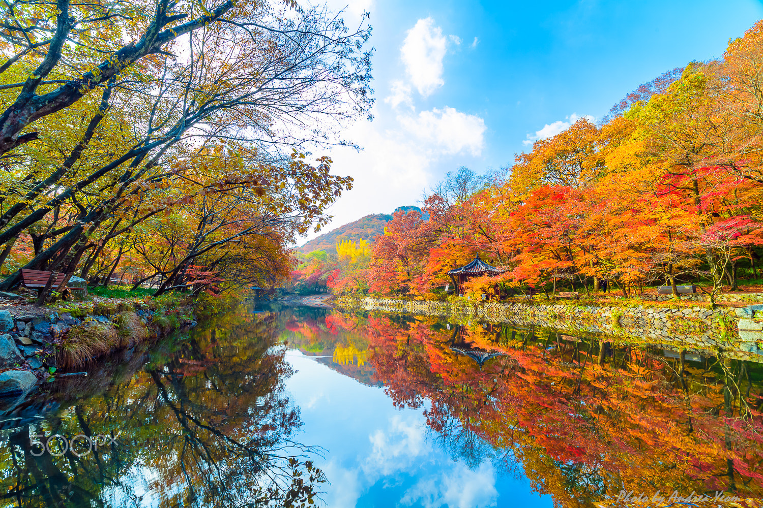 Nikon D5 sample photo. Reflection photography