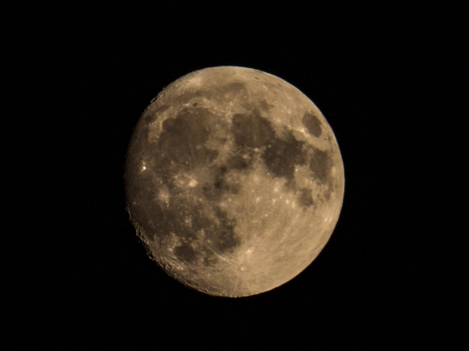 Olympus OM-D E-M10 II sample photo. Olympus digital camera photography