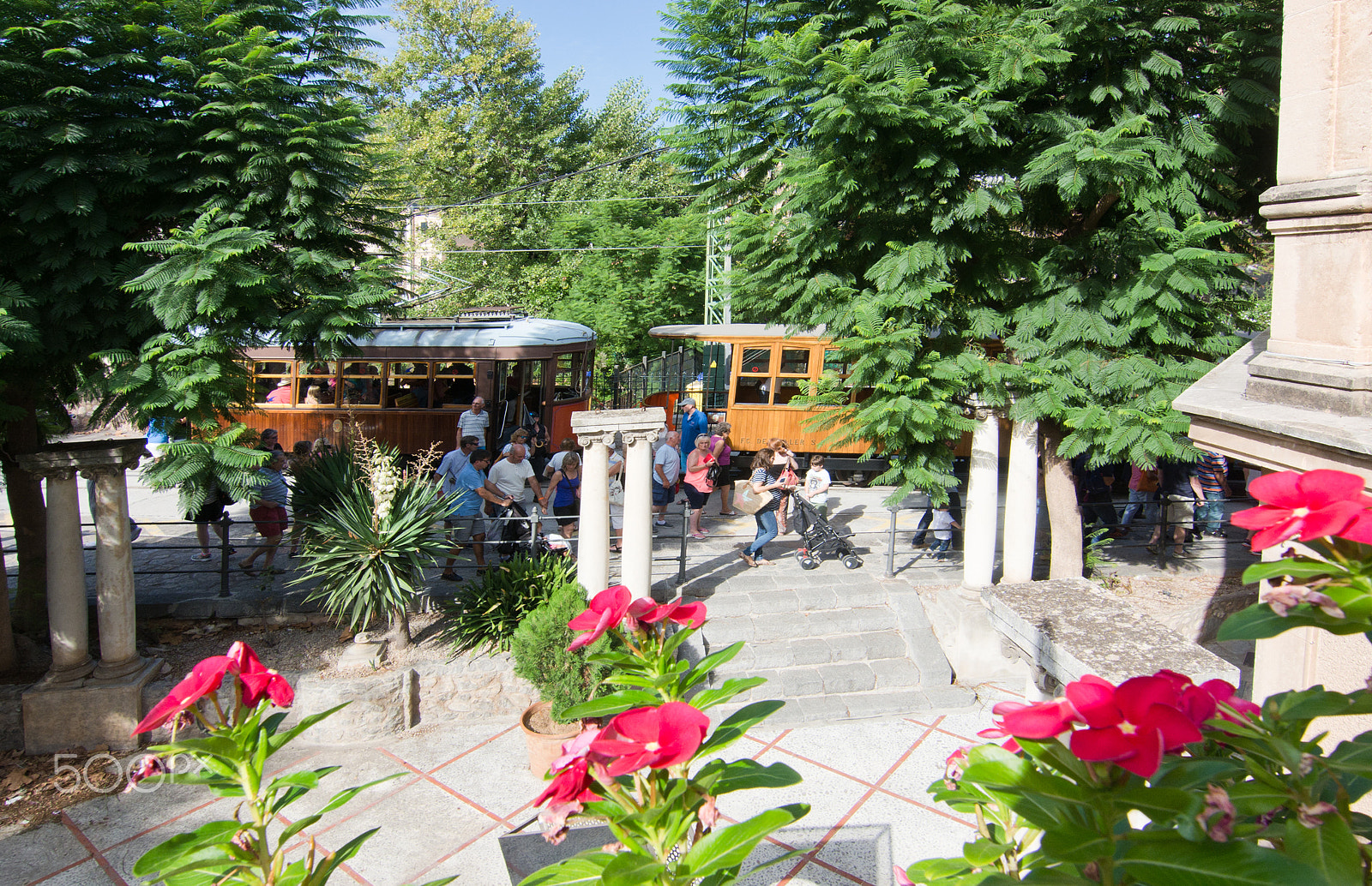 Nikon D7100 sample photo. Soller train station with flowers photography