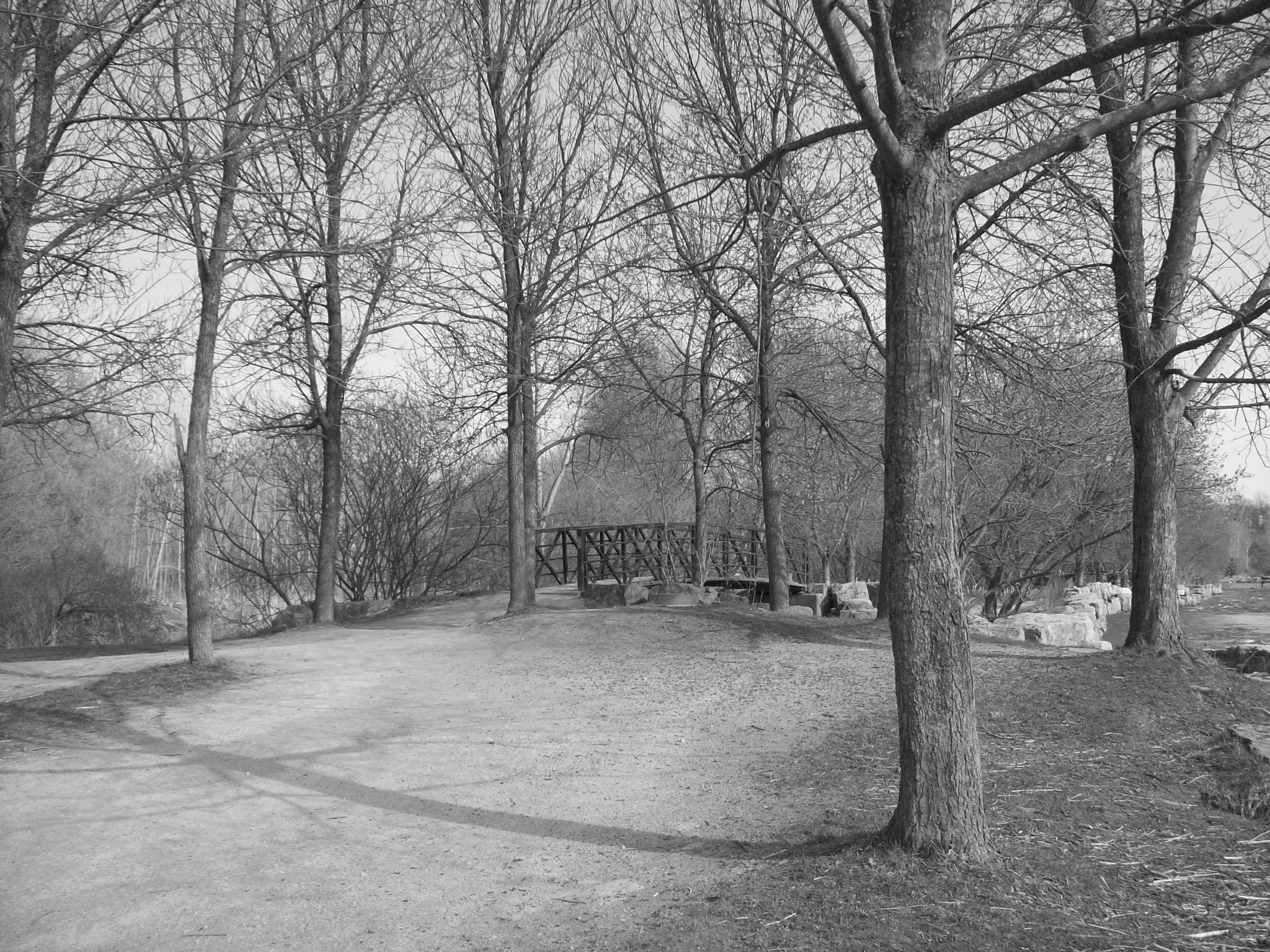 Kodak EASYSHARE C813 ZOOM DIGITAL CAMERA sample photo. Park landscape photography