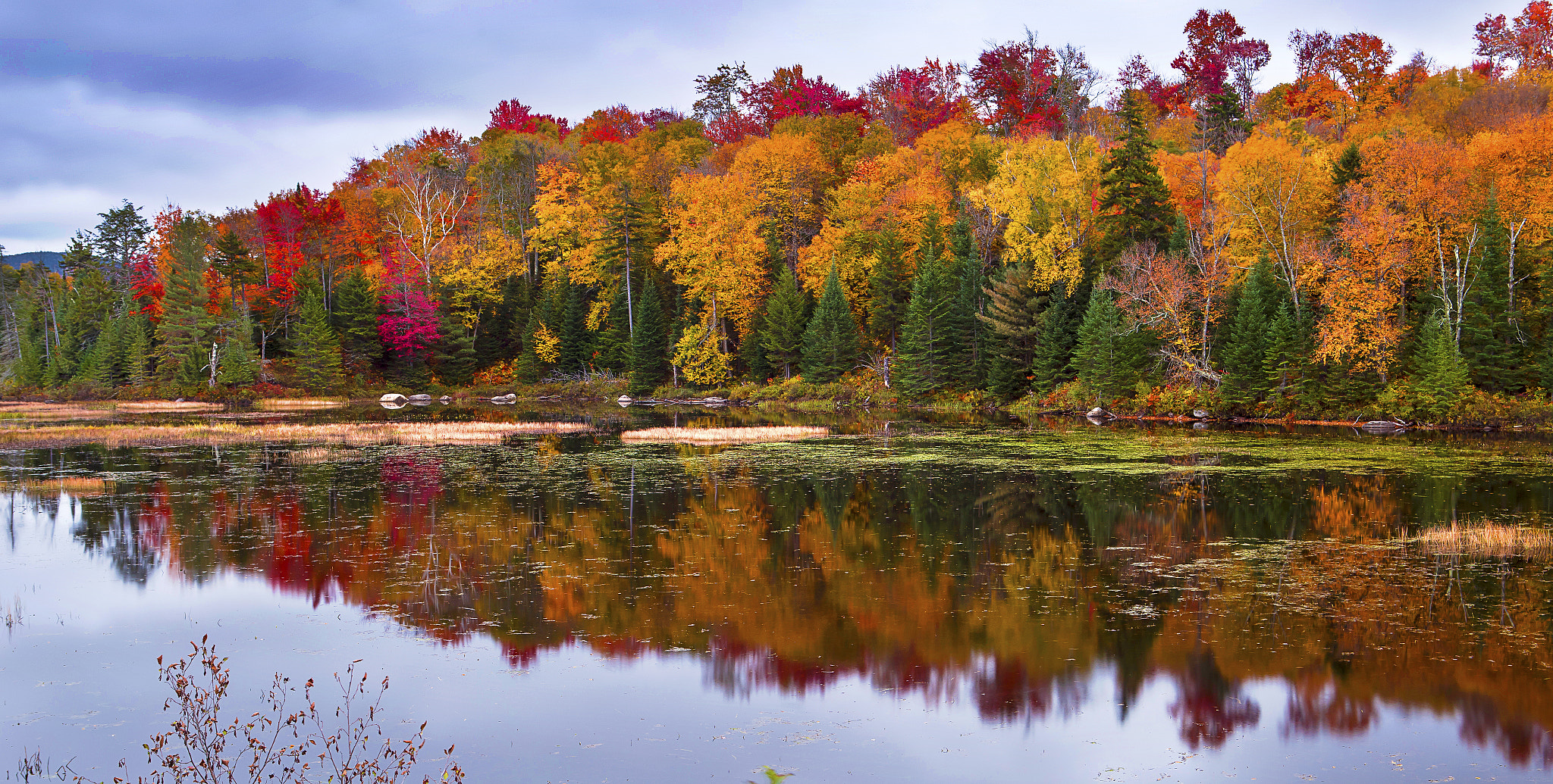Adirondack, Fall Colors, Lack Placid, Long Lake, N