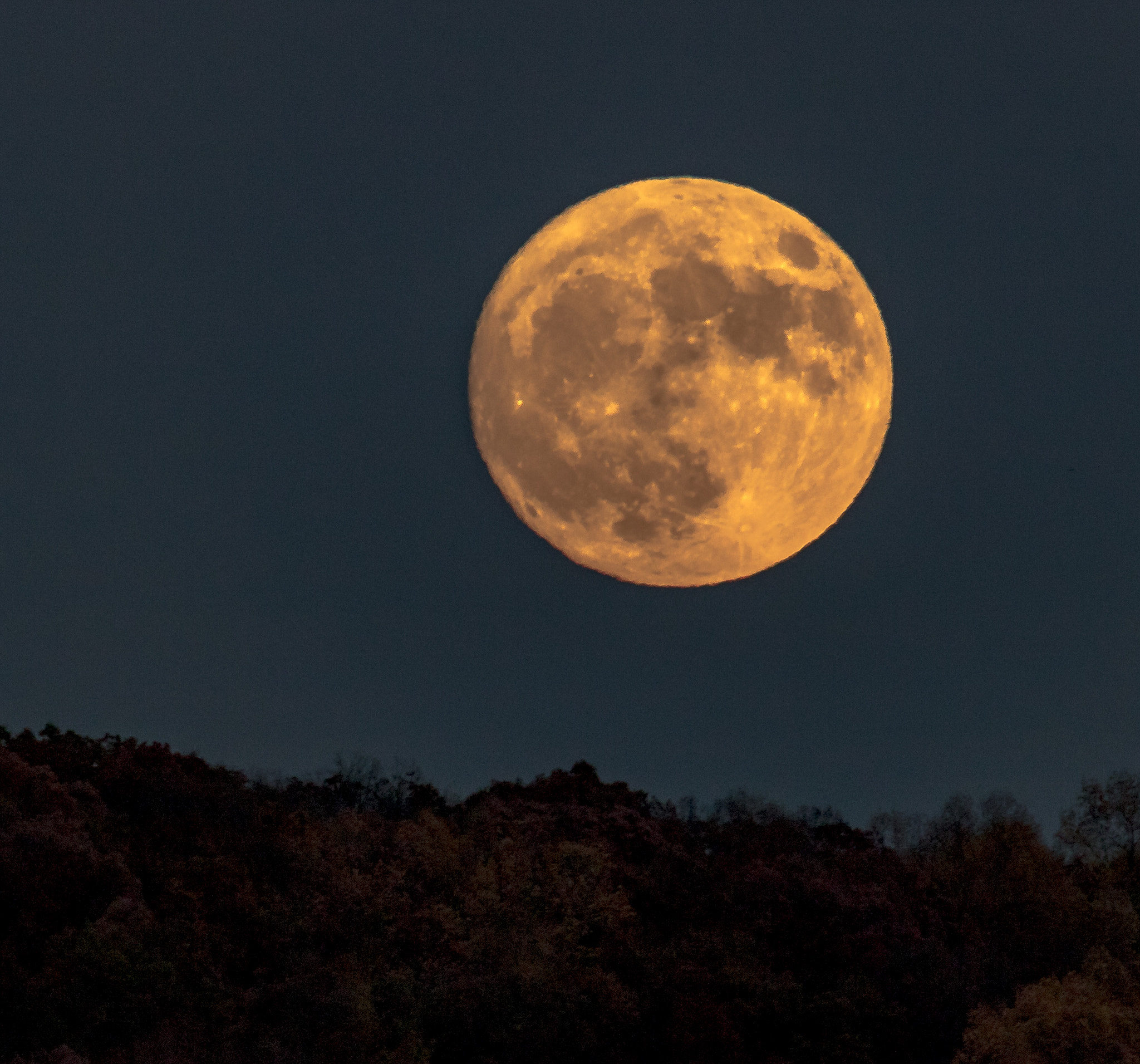 Canon EF 100-400mm F4.5-5.6L IS USM sample photo. November super moon photography