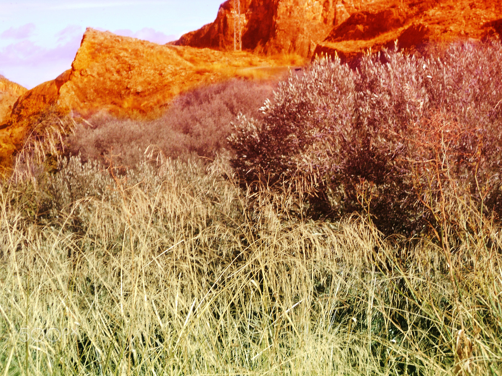 Nikon Coolpix S2900 sample photo. Paisaje photography