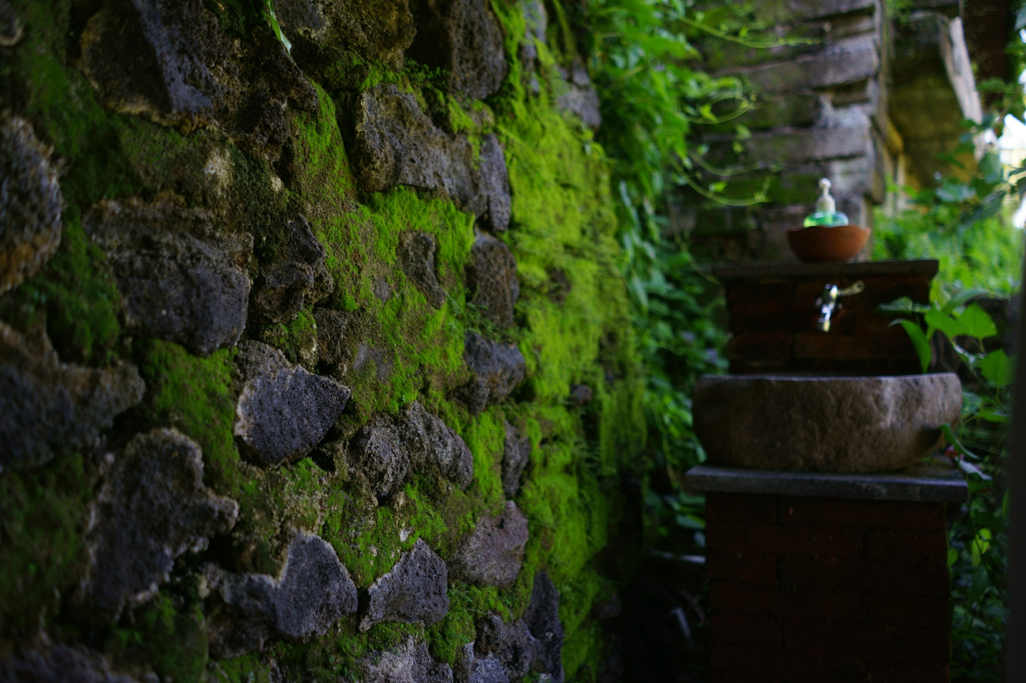 Sony a7 II + Sony FE 28mm F2 sample photo. Moss wall photography