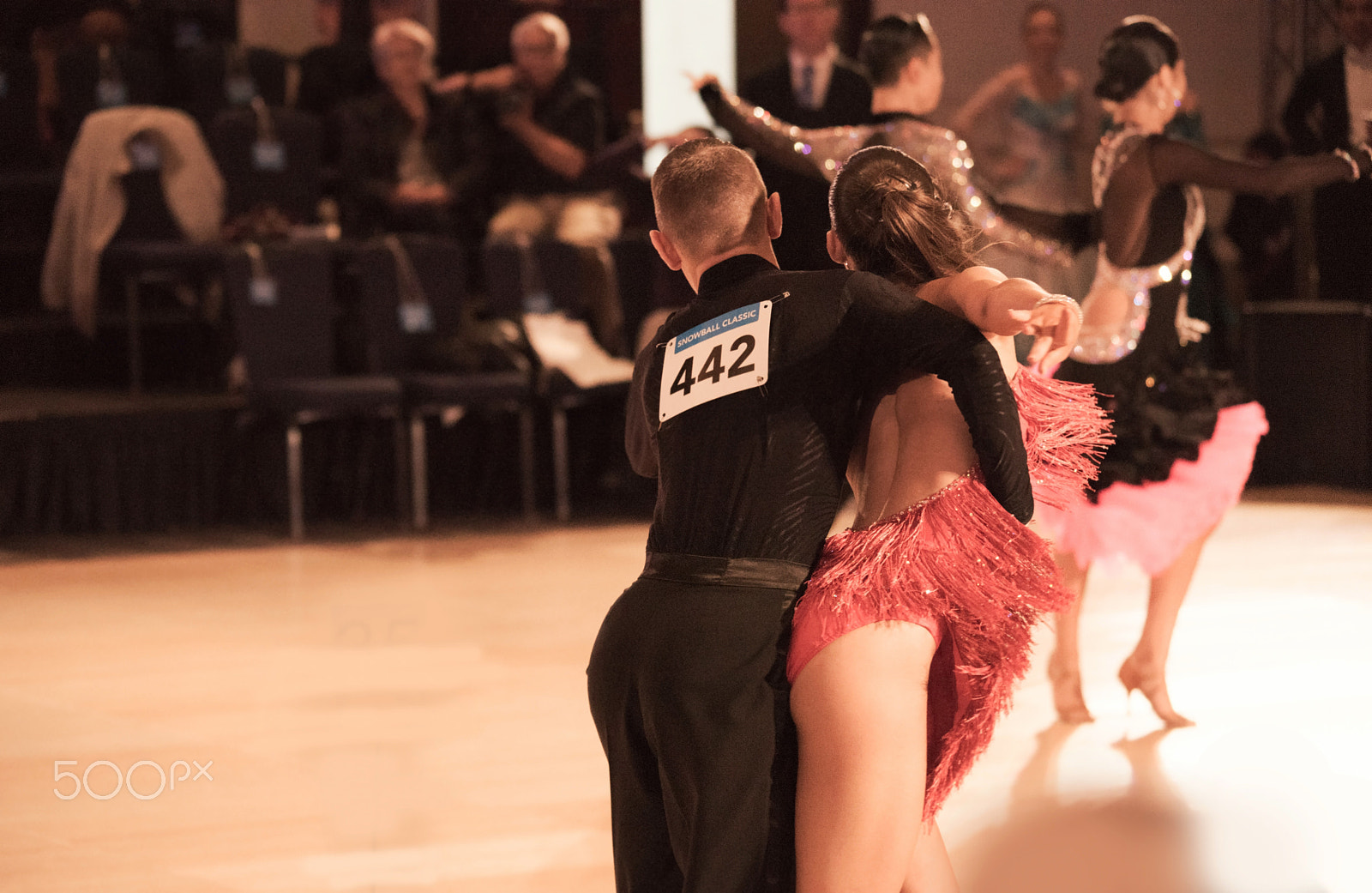 Sigma 150-500mm F5-6.3 DG OS HSM sample photo. Performers photography