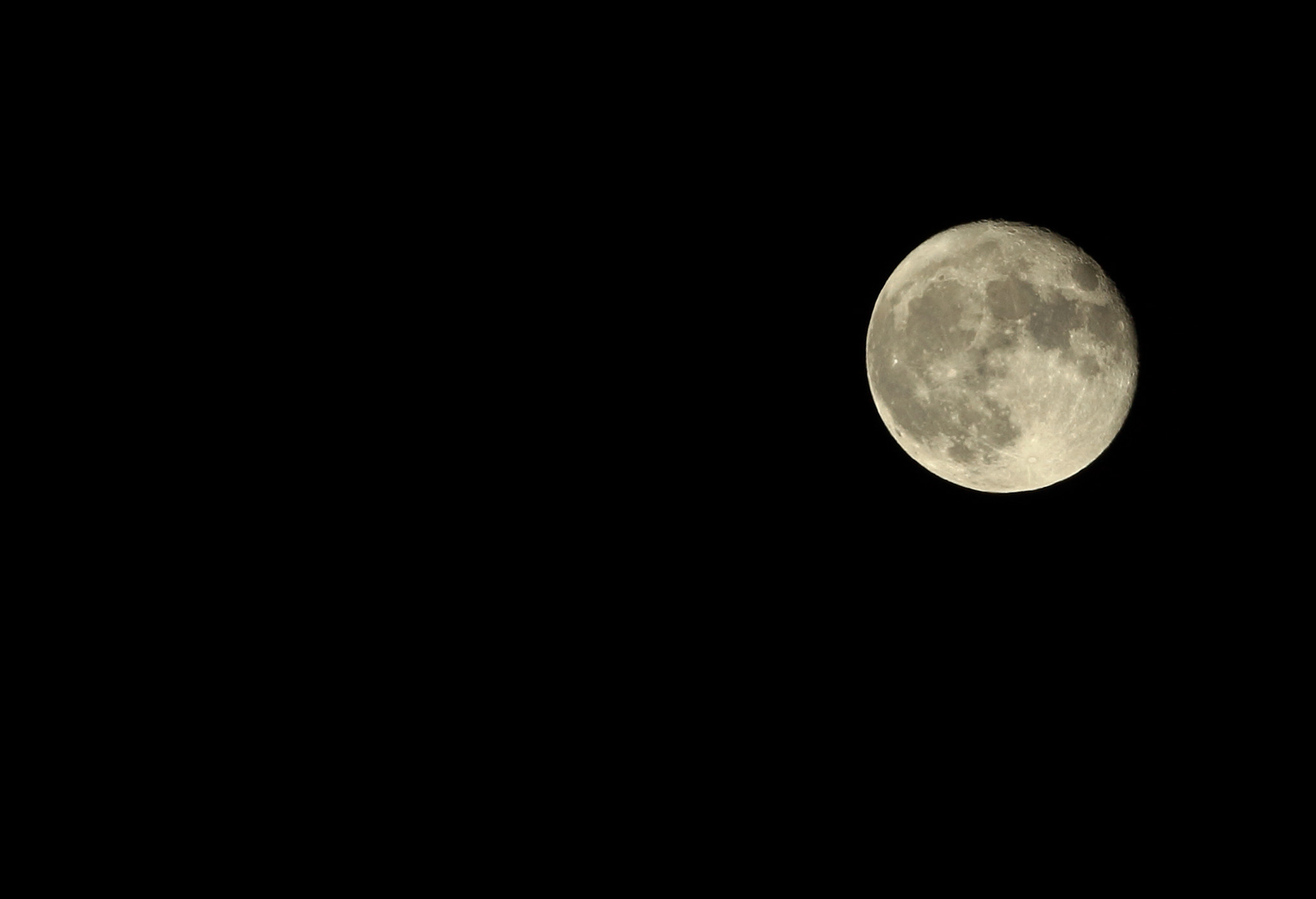 Canon EOS 700D (EOS Rebel T5i / EOS Kiss X7i) + Canon EF 70-200mm F4L USM sample photo. Luna photography