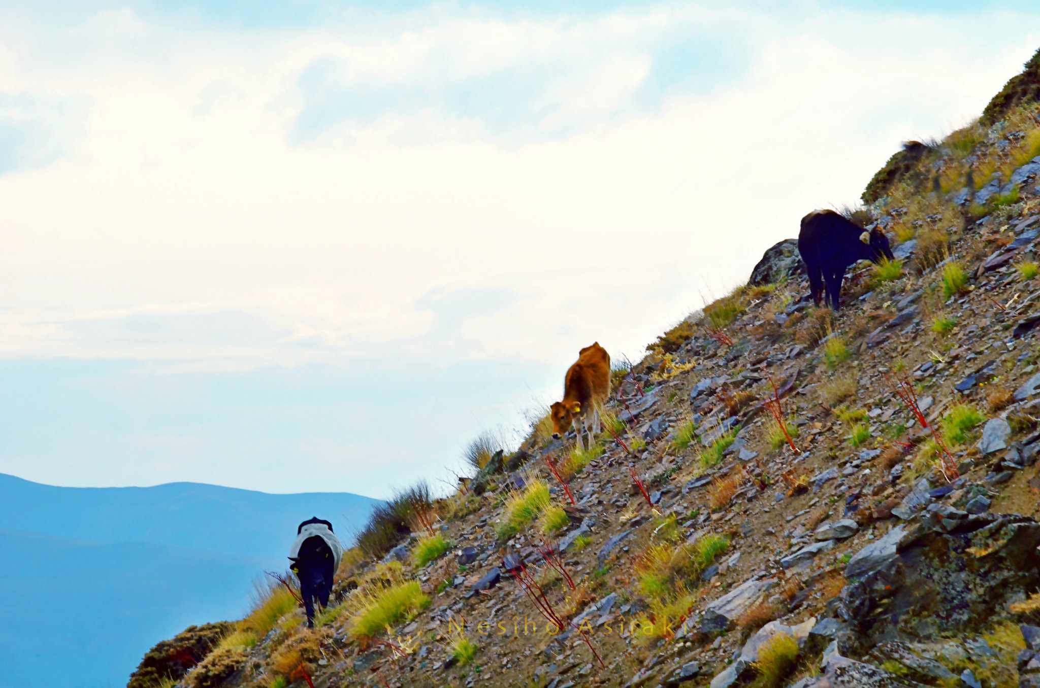 AF Zoom-Nikkor 70-300mm f/4-5.6D ED sample photo. Hikers photography