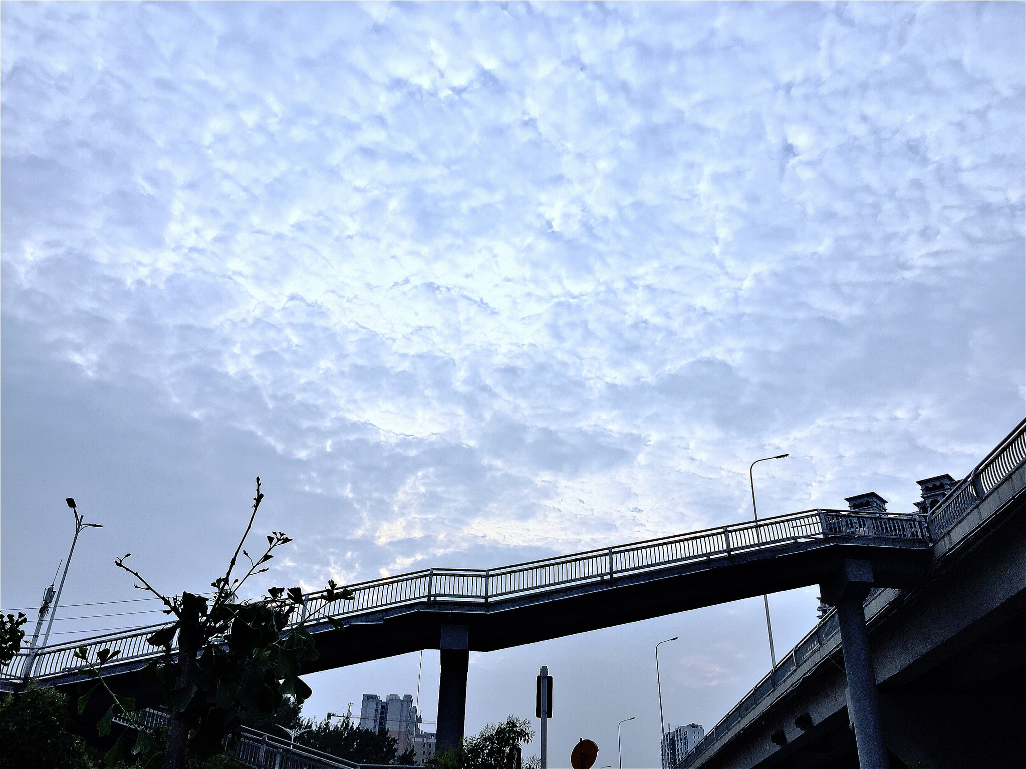 Hipstamatic 313 sample photo. Sky. photography