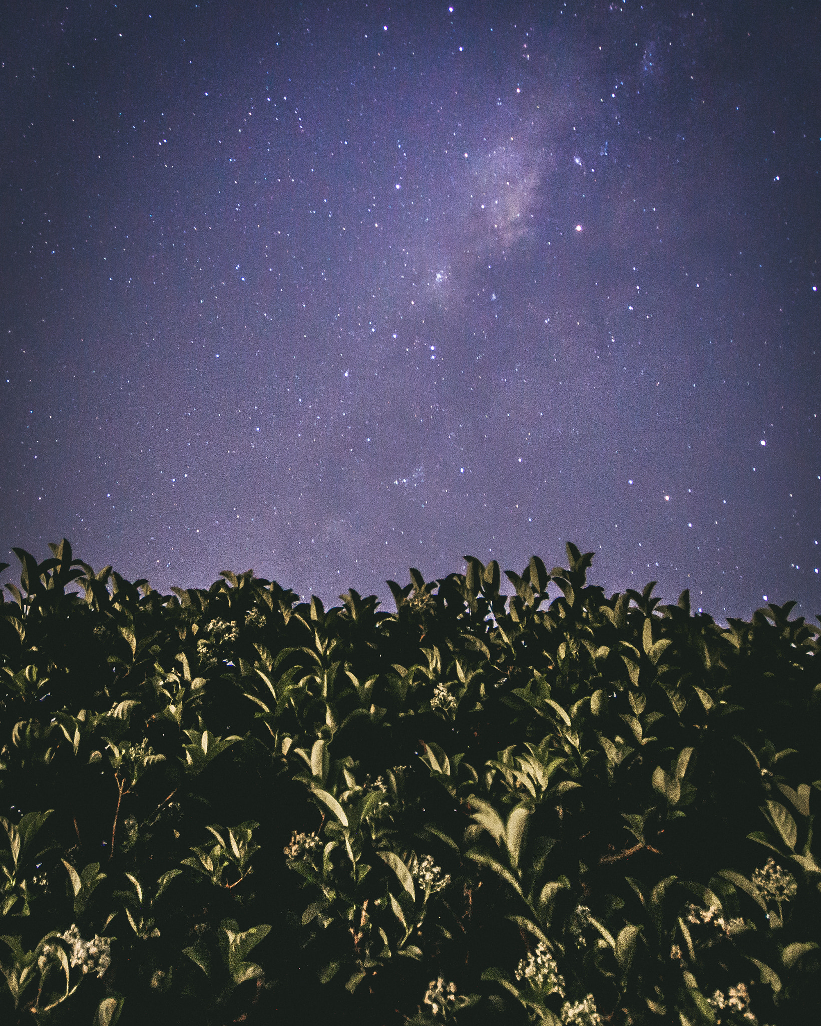 Canon EOS 1200D (EOS Rebel T5 / EOS Kiss X70 / EOS Hi) + Sigma 10-20mm F4-5.6 EX DC HSM sample photo. Milky way photography