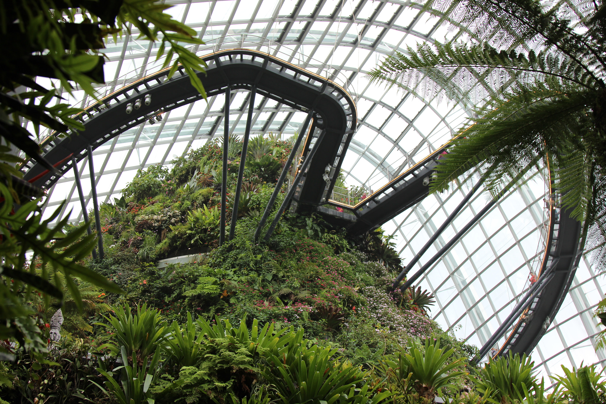 Canon EOS 600D (Rebel EOS T3i / EOS Kiss X5) sample photo. Inside gardens by the bay, singapore, a good experience photography