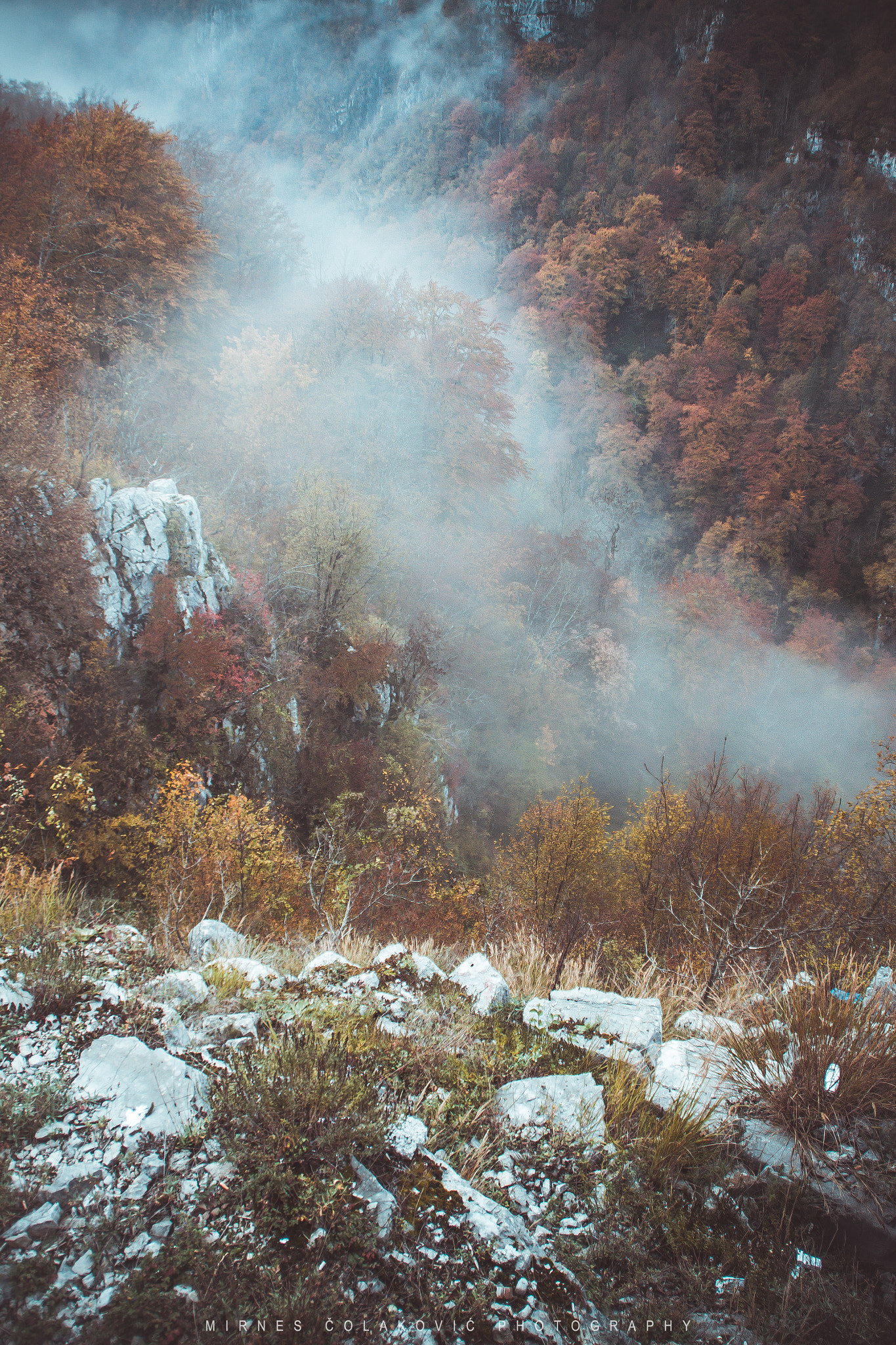 Canon EOS 50D sample photo. Autumn with fog photography