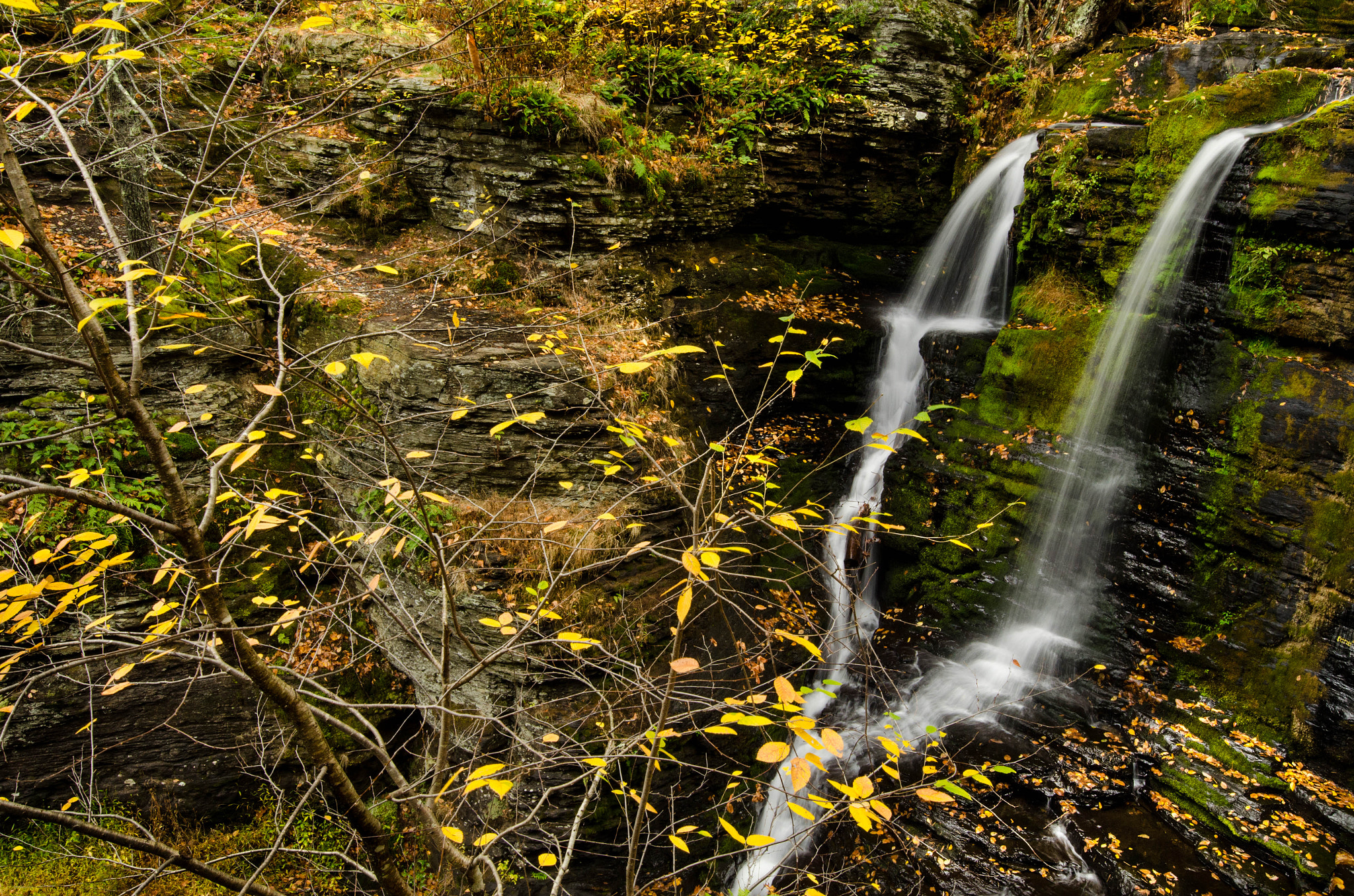 Nikon AF-S Nikkor 16-35mm F4G ED VR sample photo. Deer leap falls photography